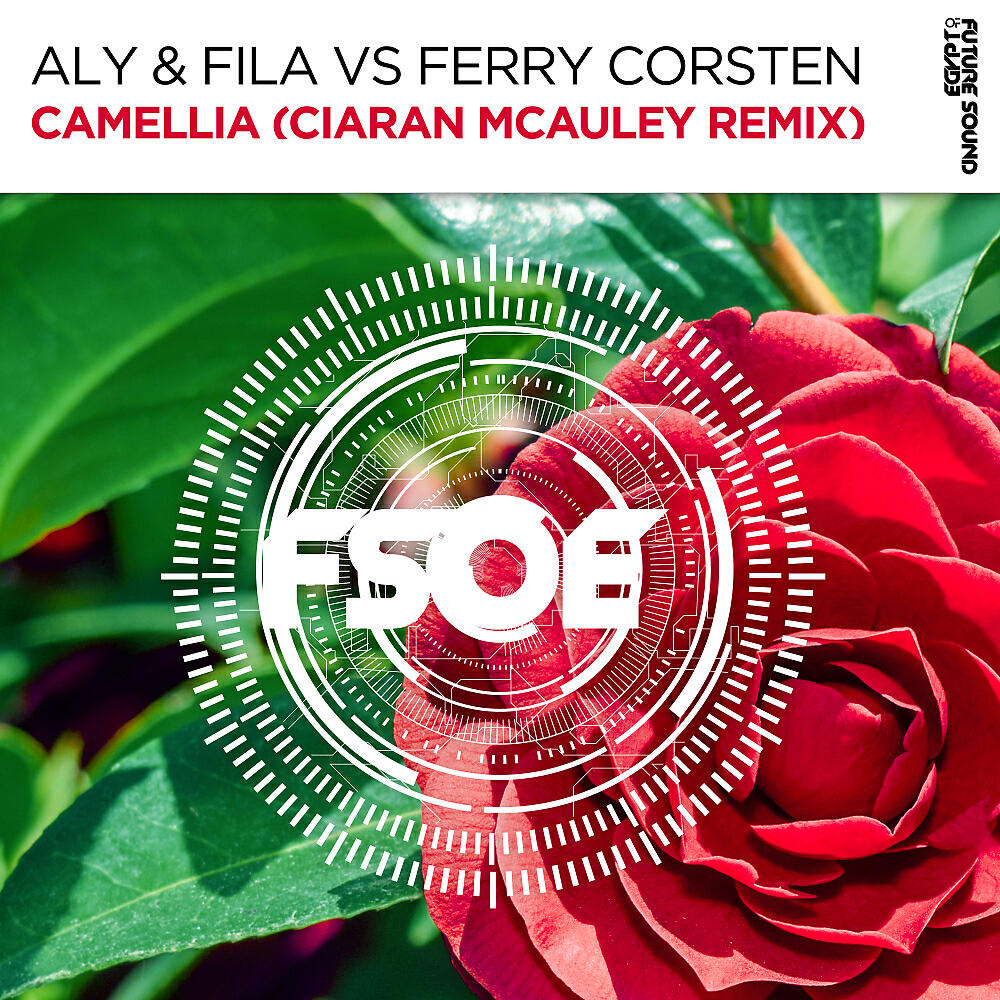 Aly & Fila - Camellia (Ciaran McAuley Extended Remix)