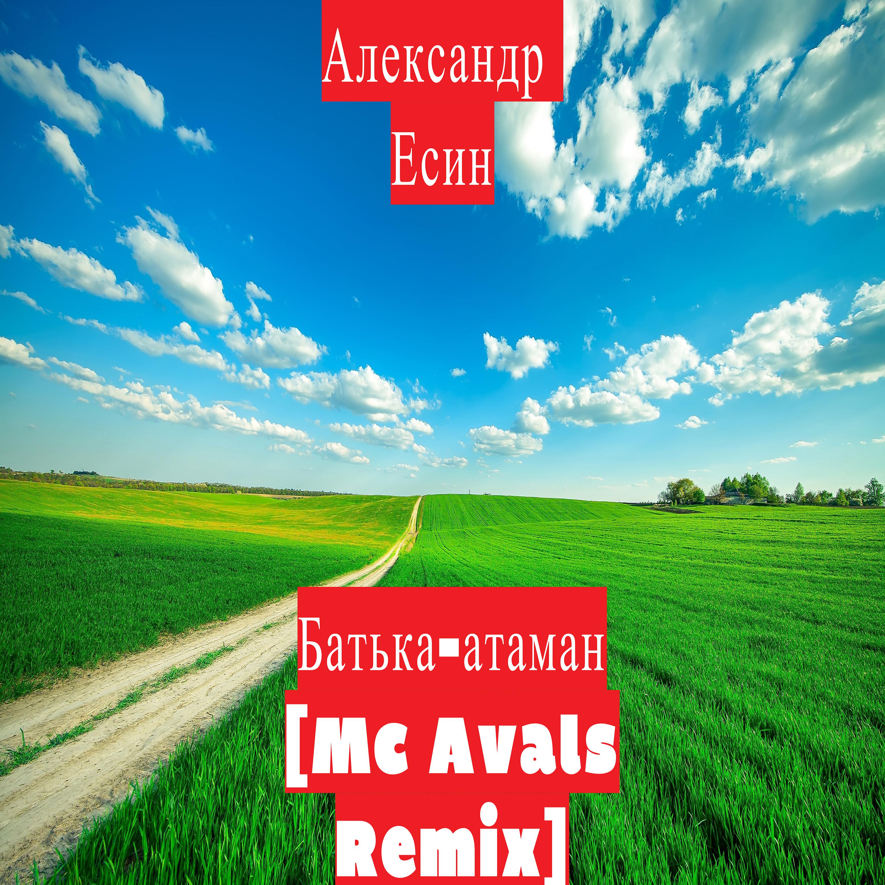 Постер альбома Батька-атаман (MC Avals Remix)
