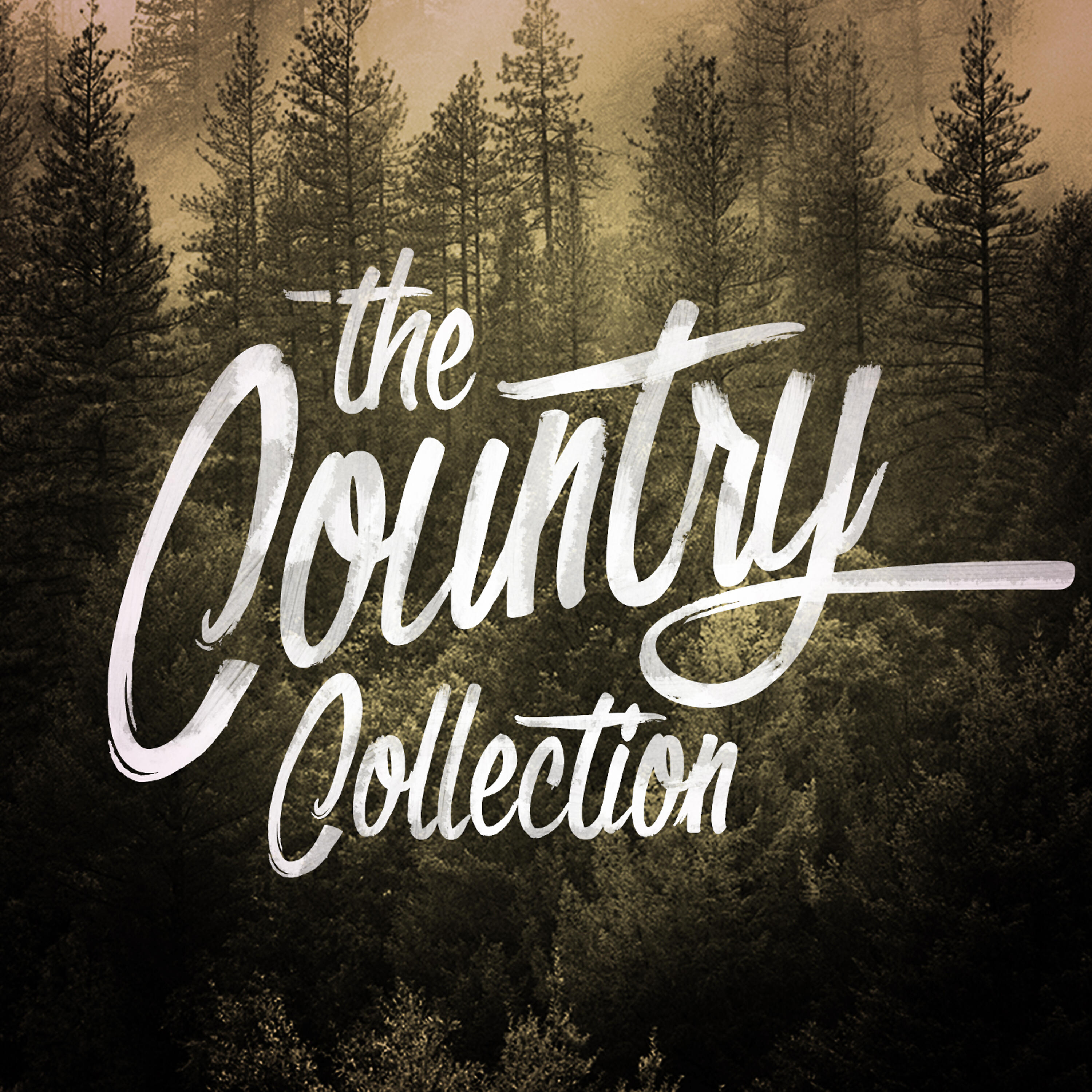 American Country Hits - Your Good Girl's Gonna Go Bad