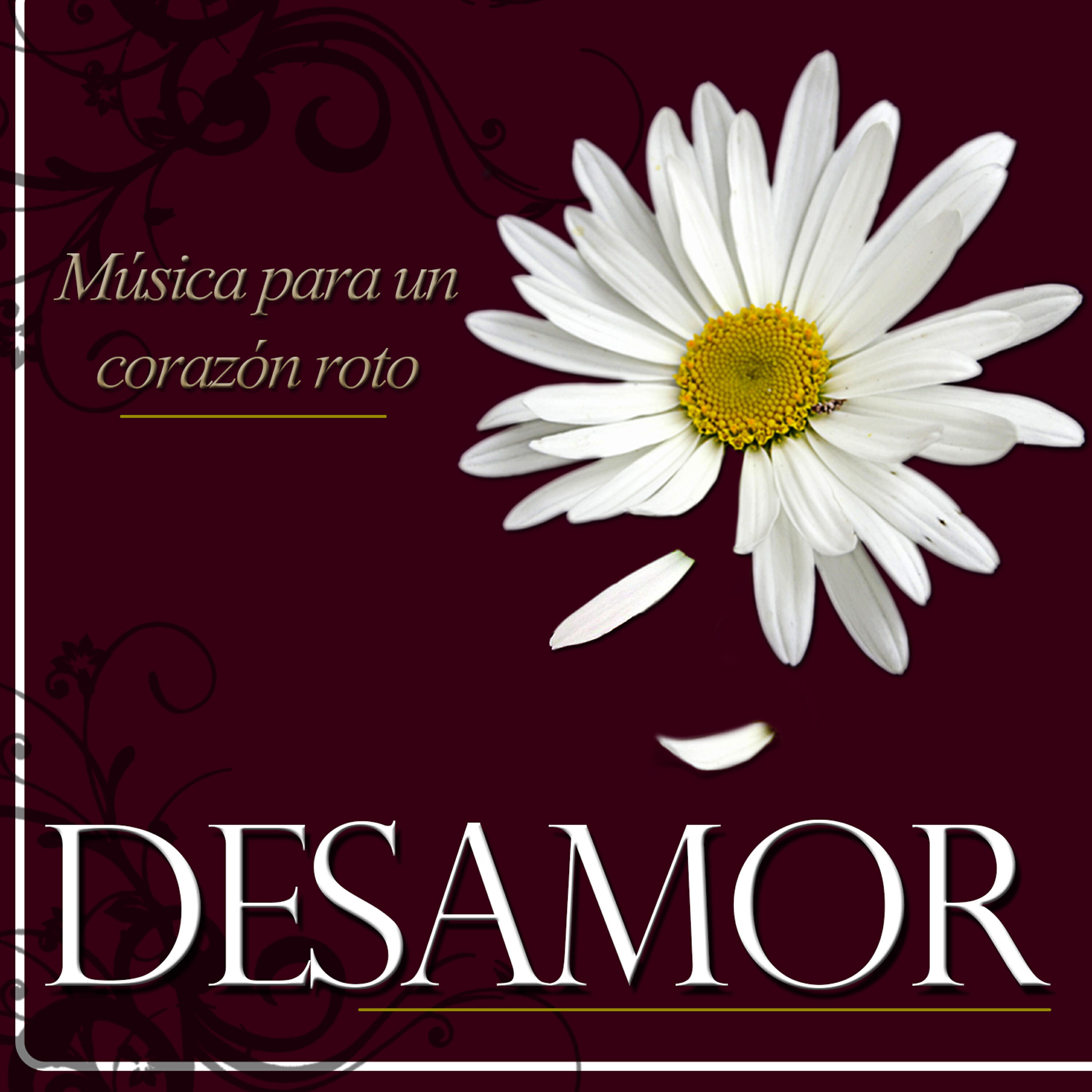 Gran Orquesta Remember - El Valle del Eden
