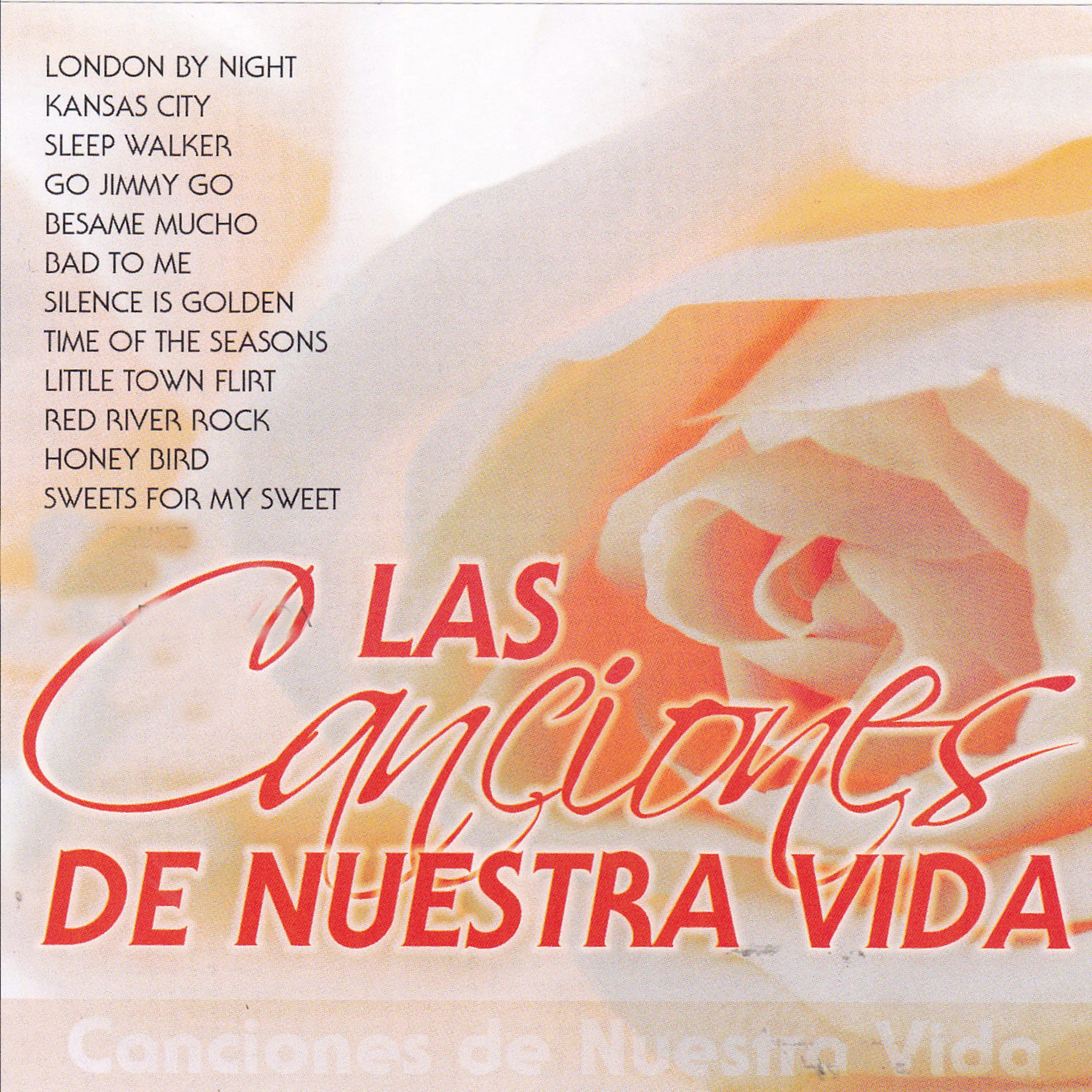 Постер альбома Las Canciones de Nuestra Vida