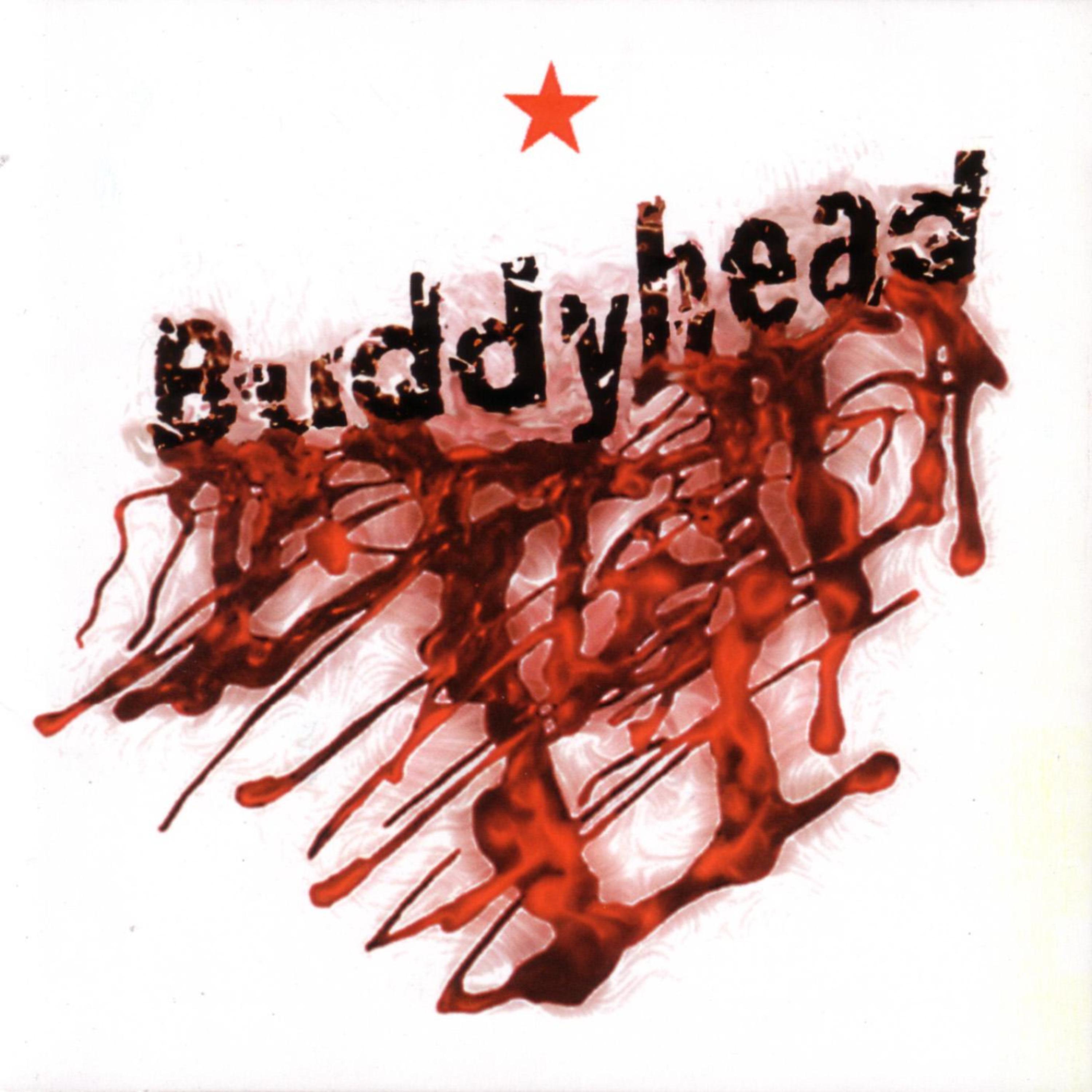 Постер альбома Buddyhead Suicide