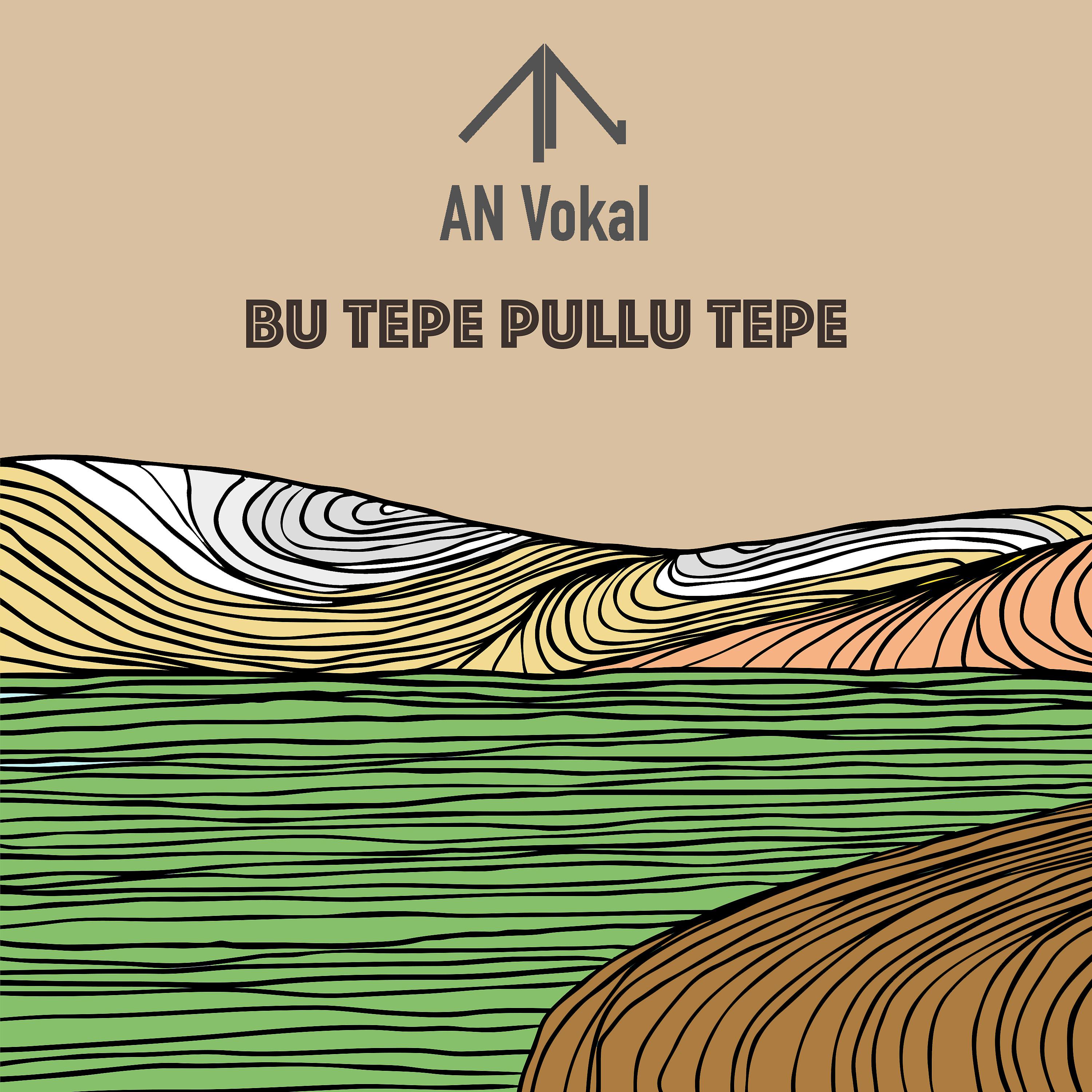 Постер альбома Bu Tepe Pullu Tepe