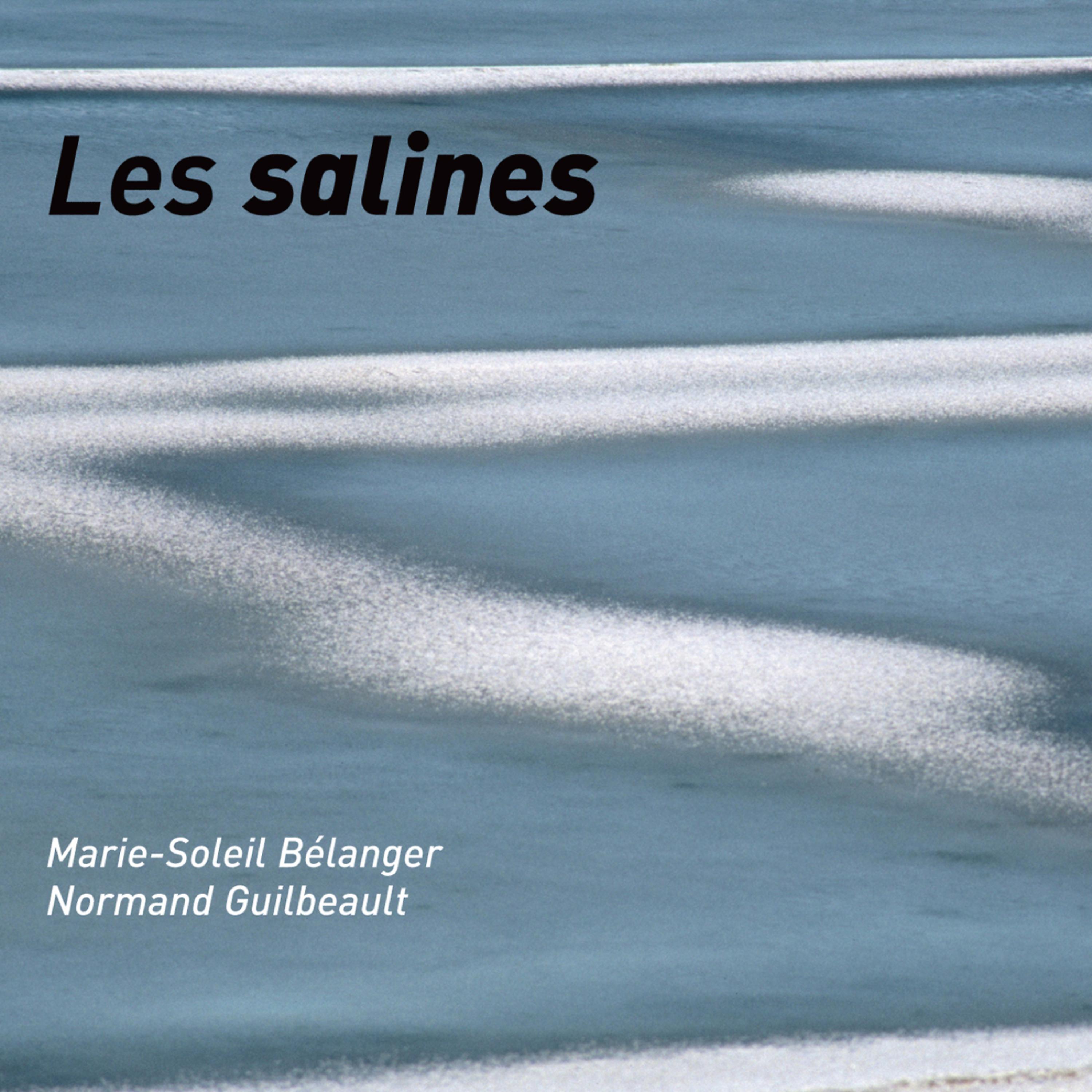 Постер альбома Les salines