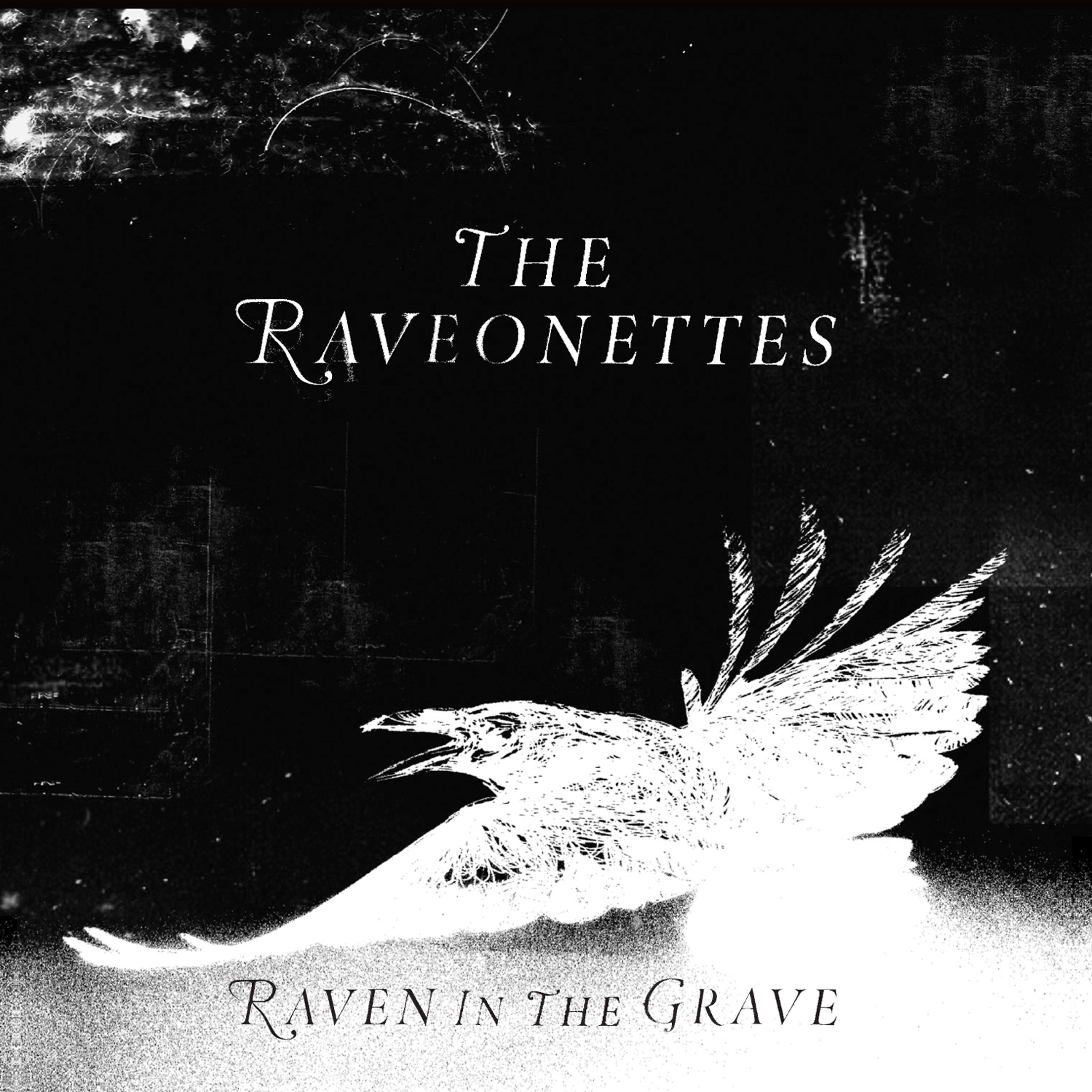 Постер альбома Raven in the Grave (Deluxe)