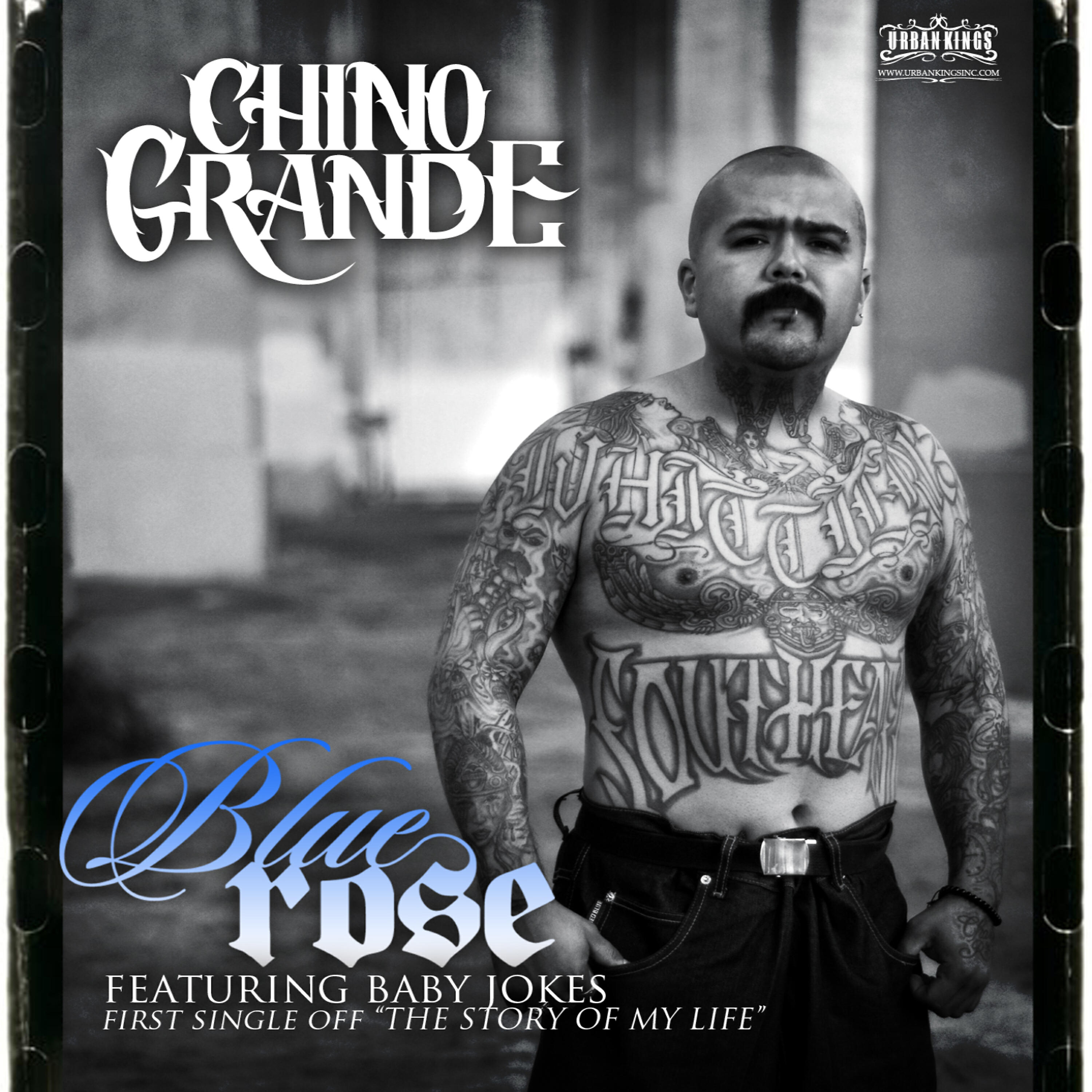 Chino Grande - Blue Rose
