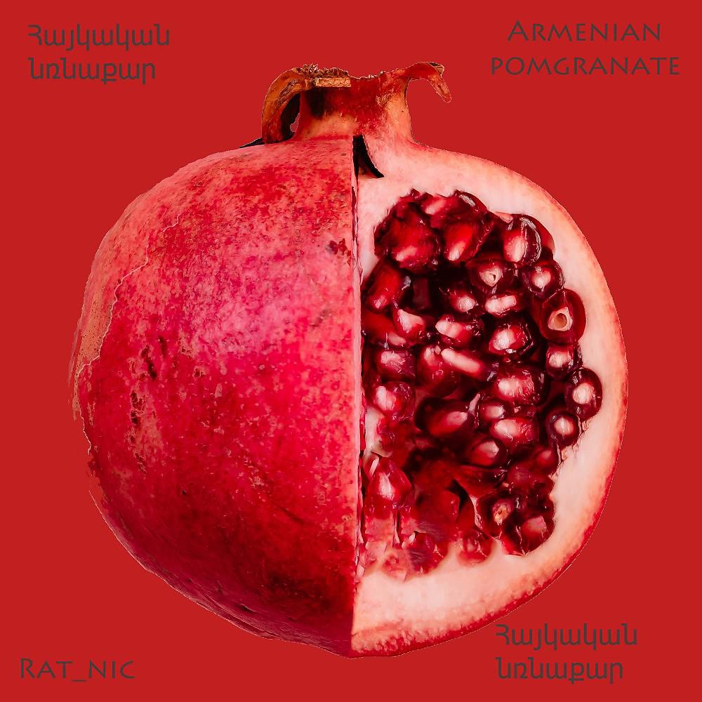 Постер альбома Armenian Pomegranate (Հայկական Նռնաքար)