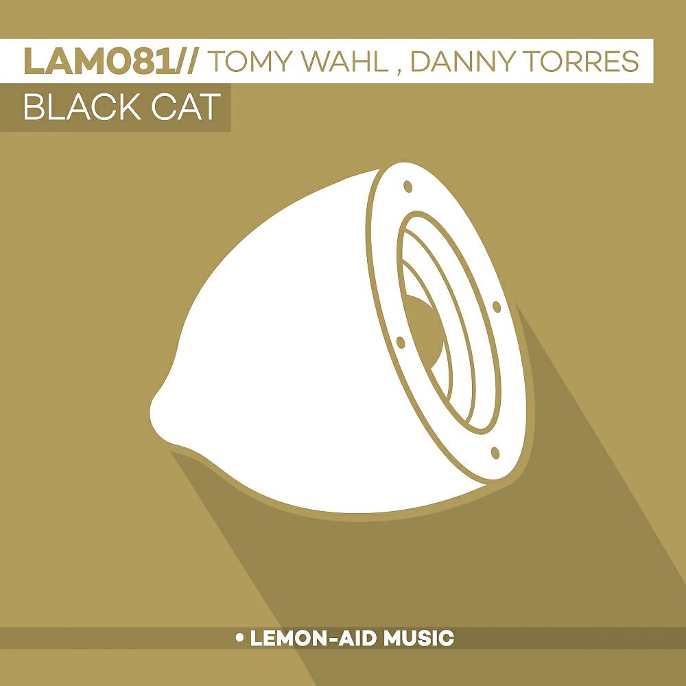 Tomy Wahl - Black Cat (Original Mix)