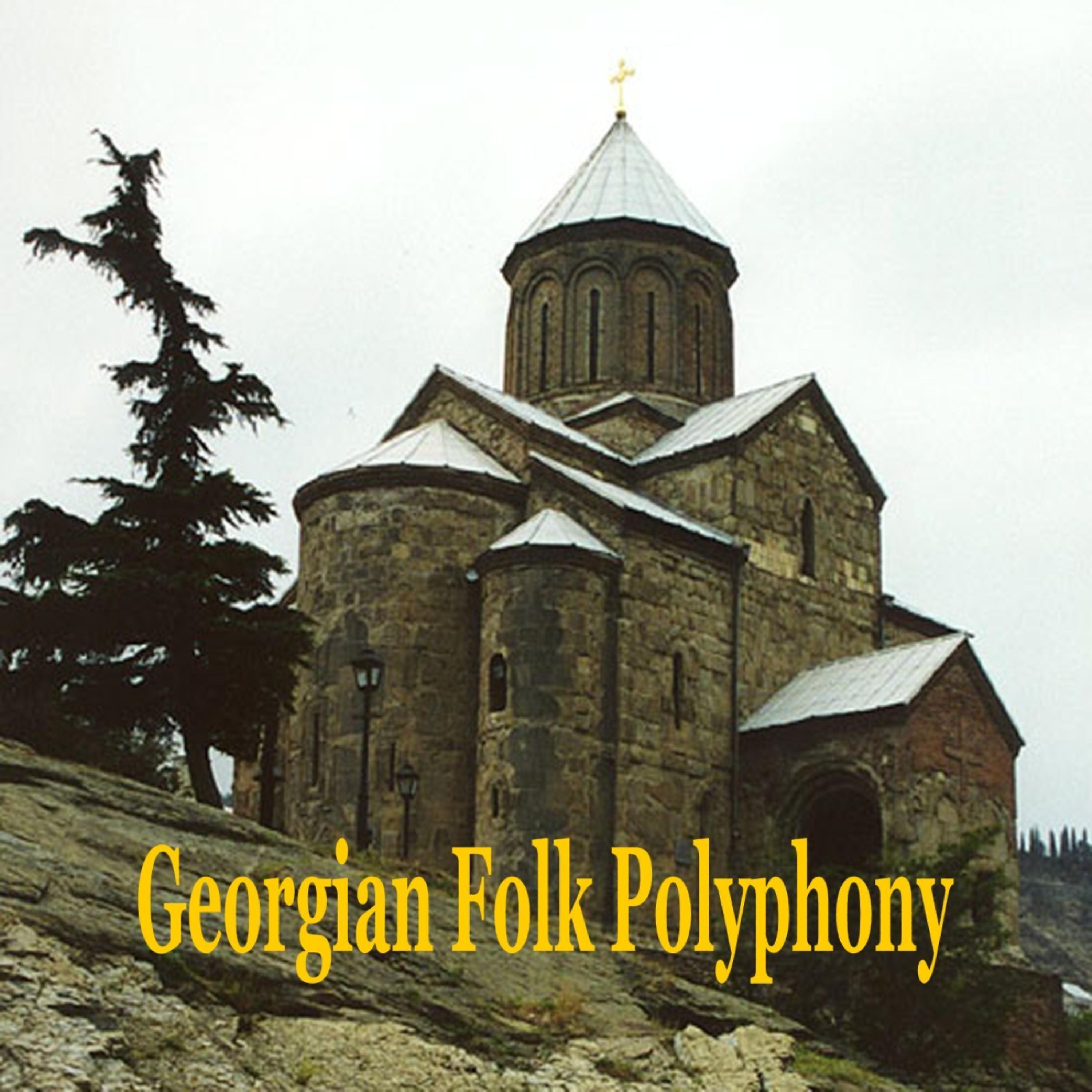 Постер альбома Georgian Folk Polyphony / Choral Polyphonic Songs of Georgia