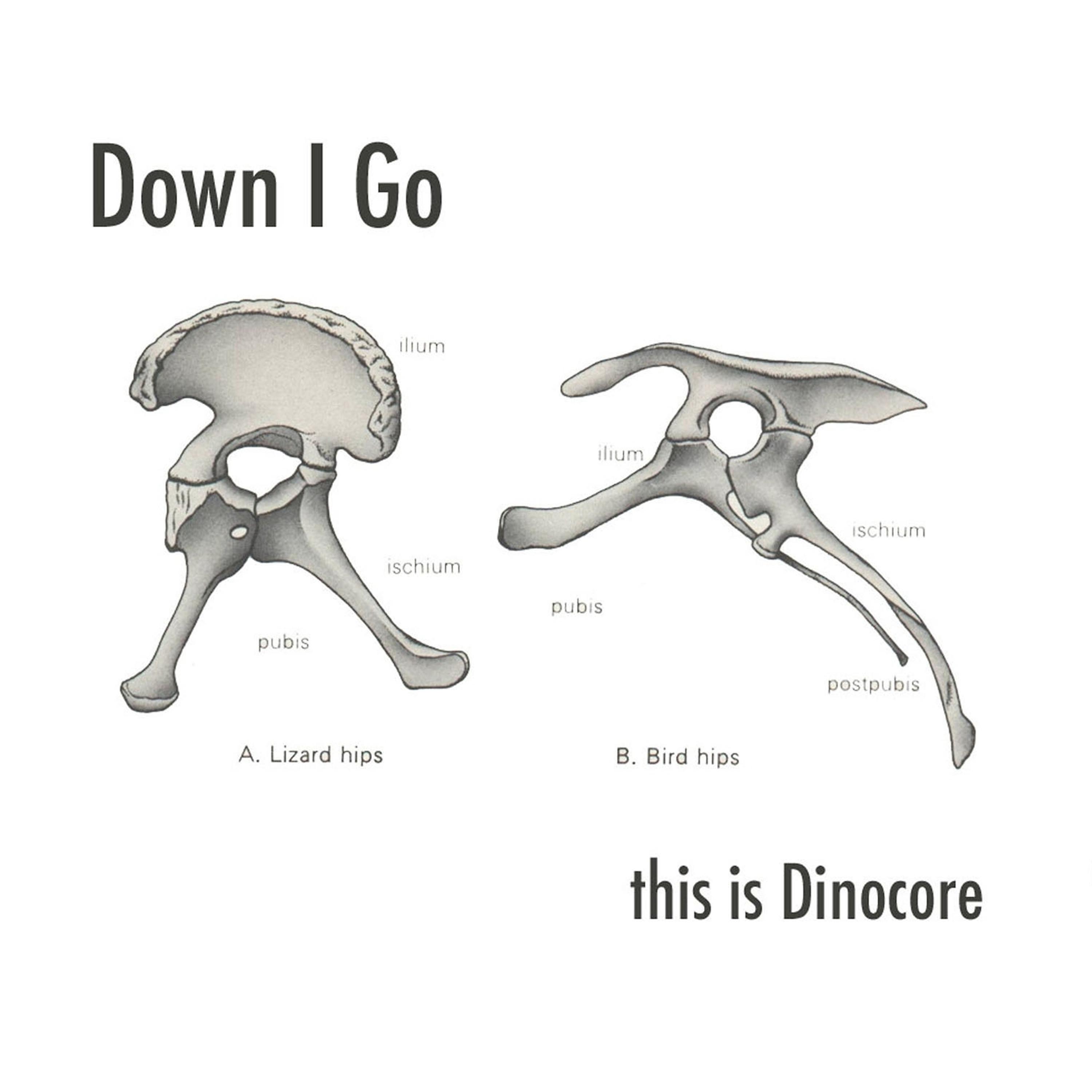 Постер альбома This is Dinocore