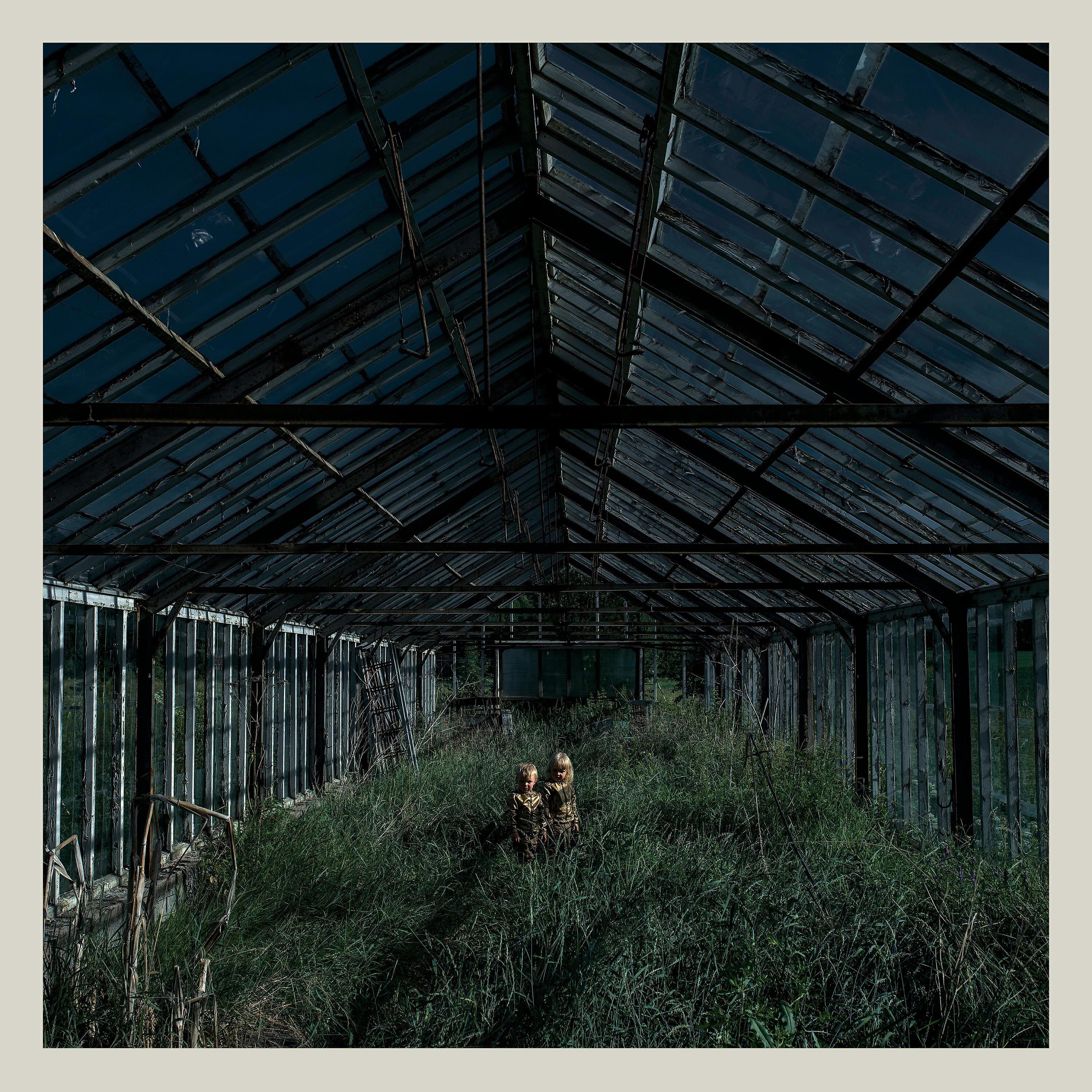 Foxing - Indica