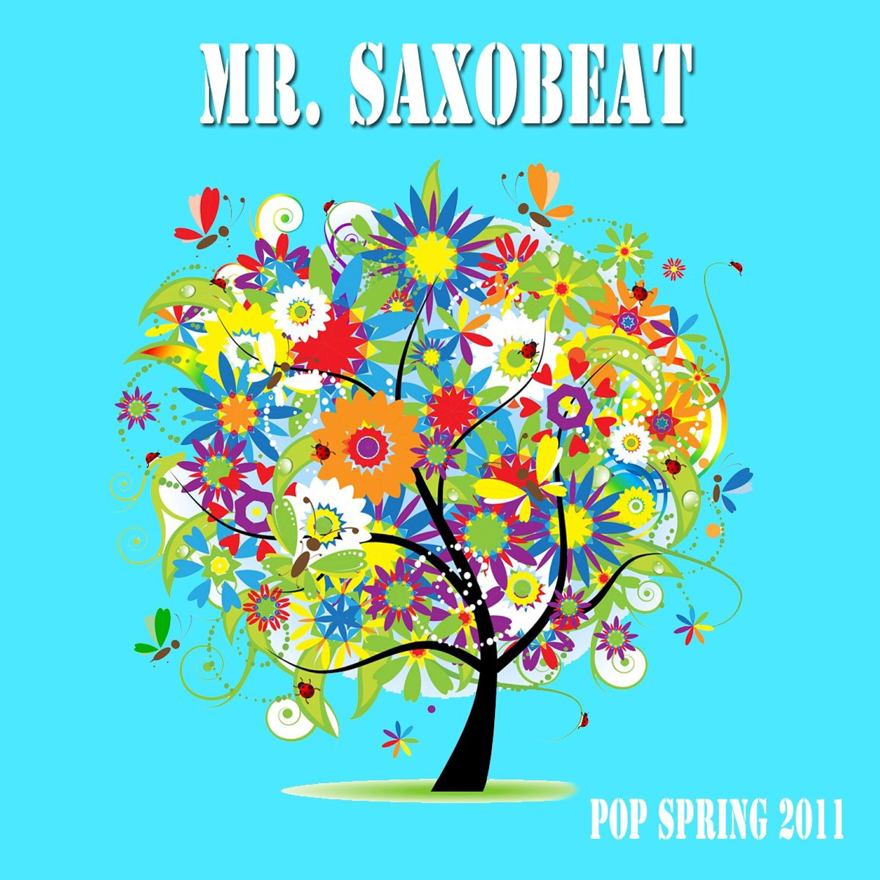 MR. SAXOBEAT - Pop Spring 2011 - I Need a Dollar