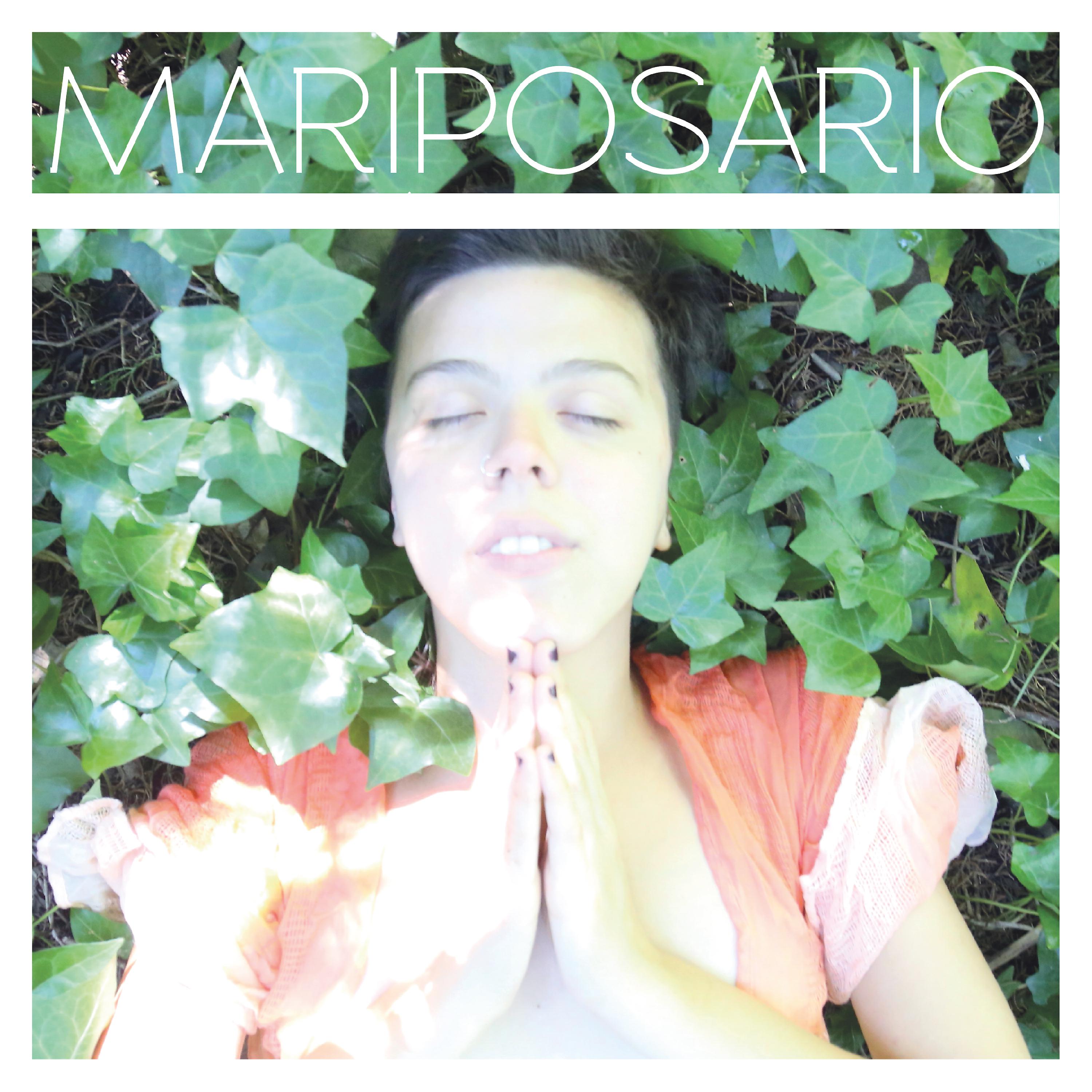 Постер альбома Mariposario
