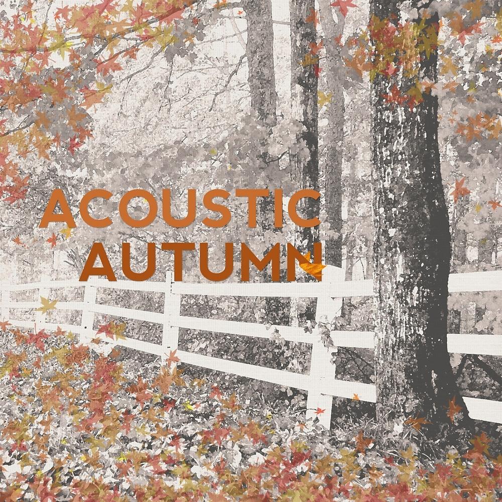 Постер альбома Acoustic Autumn