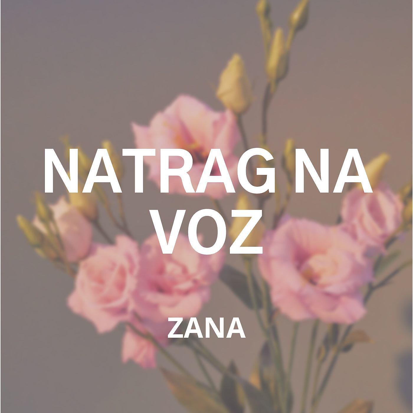 Постер альбома Natrag Na Voz