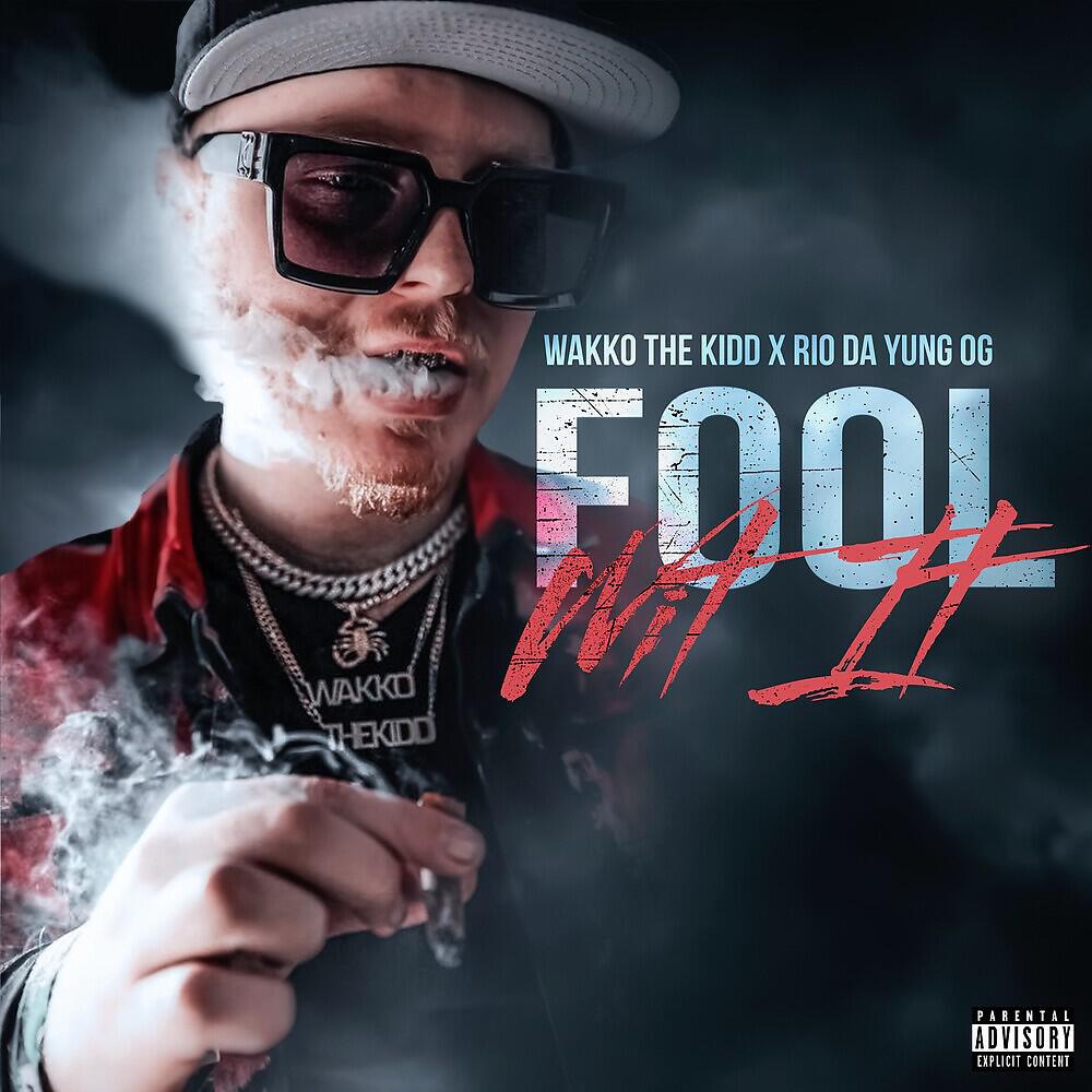 Wakko The Kidd - Fool Wit It