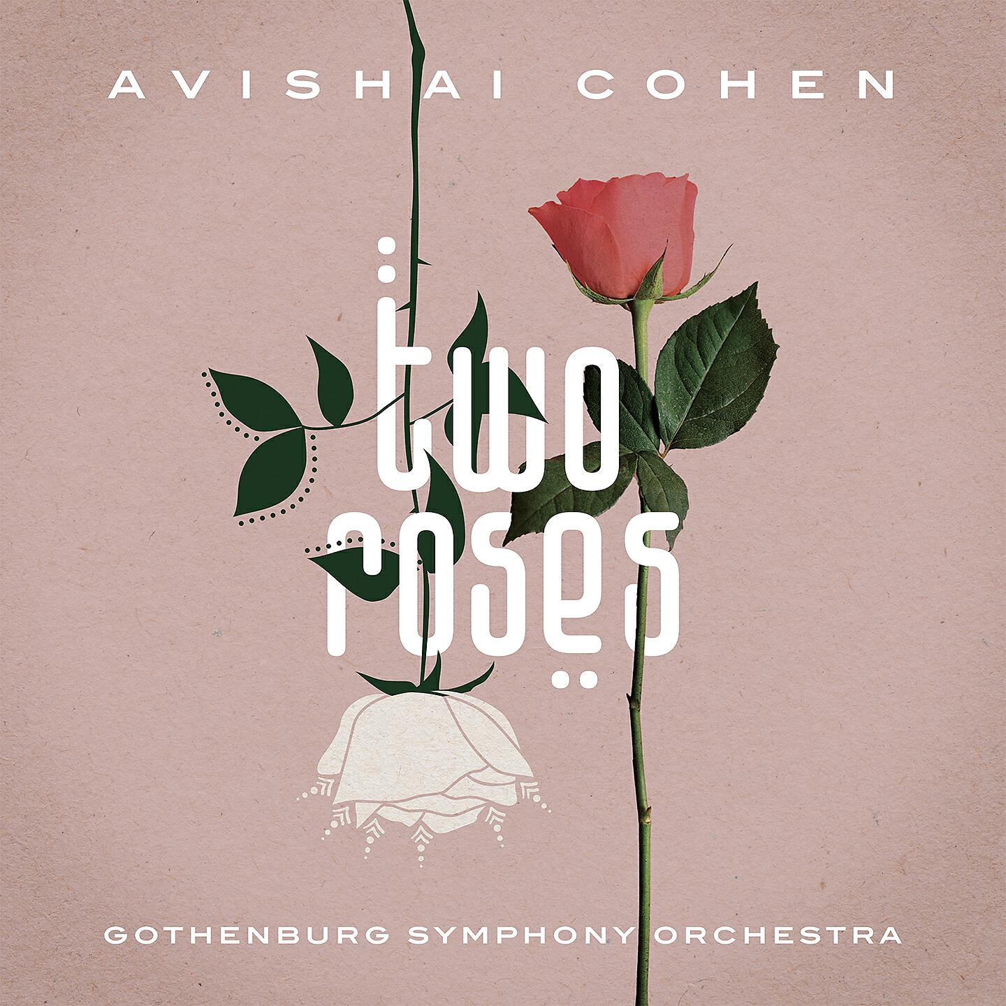 Avishai Cohen - Arab Medley