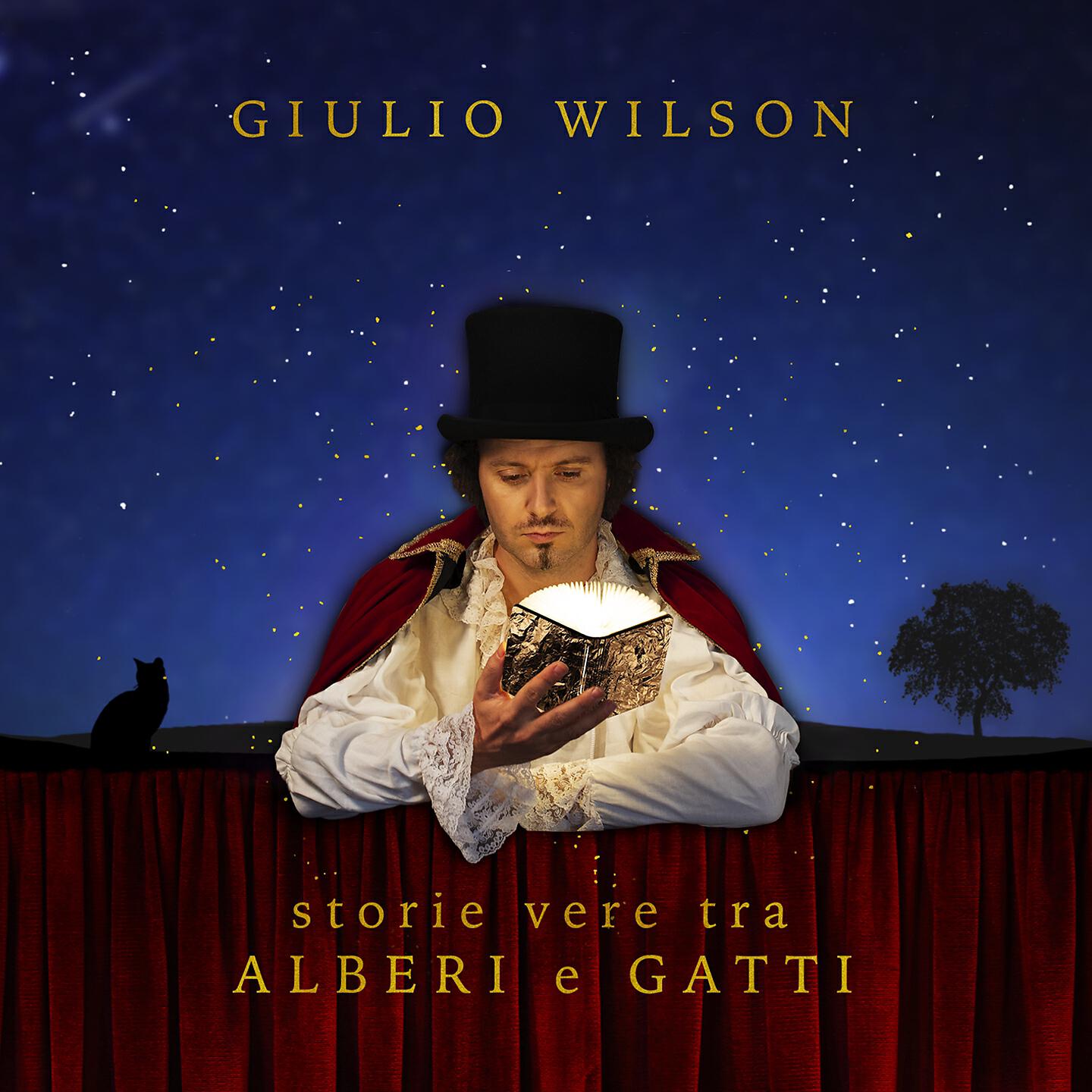 Giulio Wilson - Romanzo epistolare
