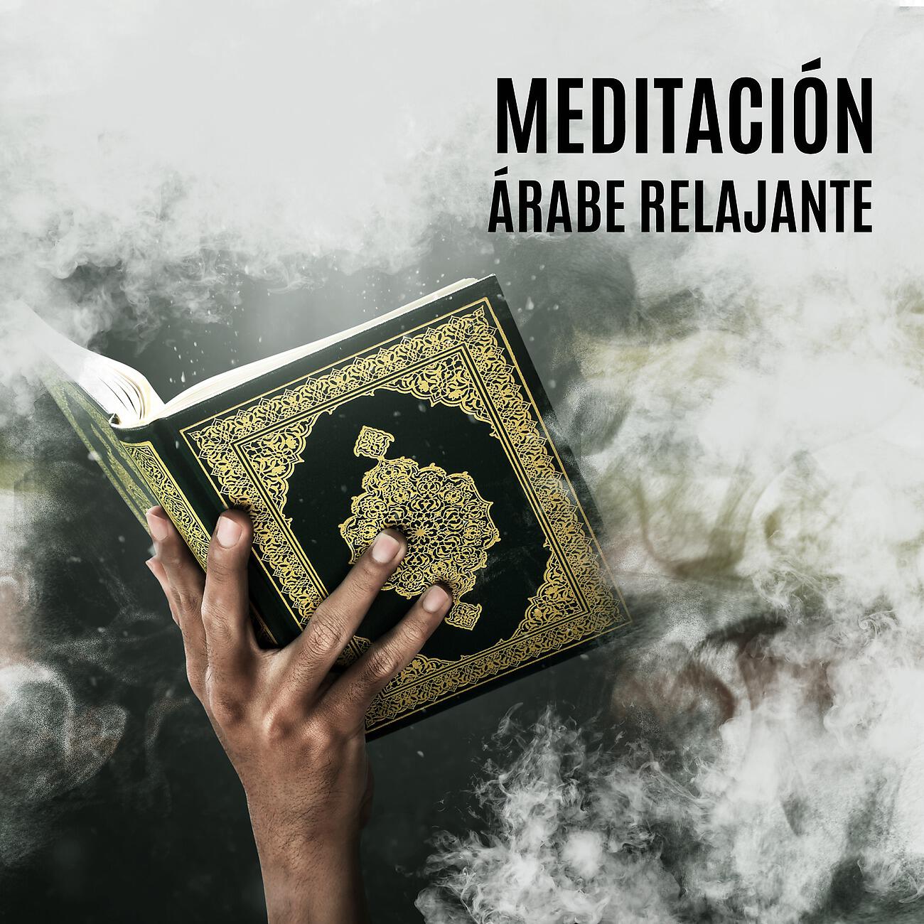 Relajante Academia de Música Zen - Música Pacífica para la Meditación