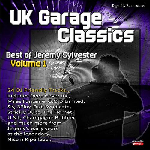 Jeremy Sylvester - Feel Your Love