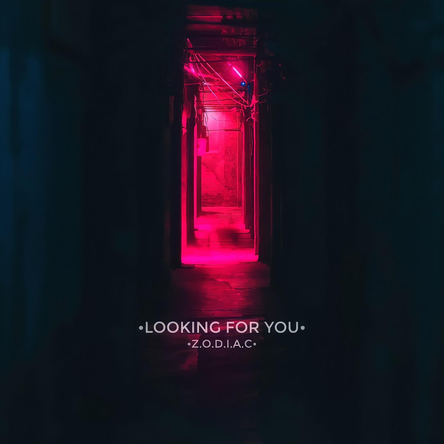 Постер альбома Looking for You