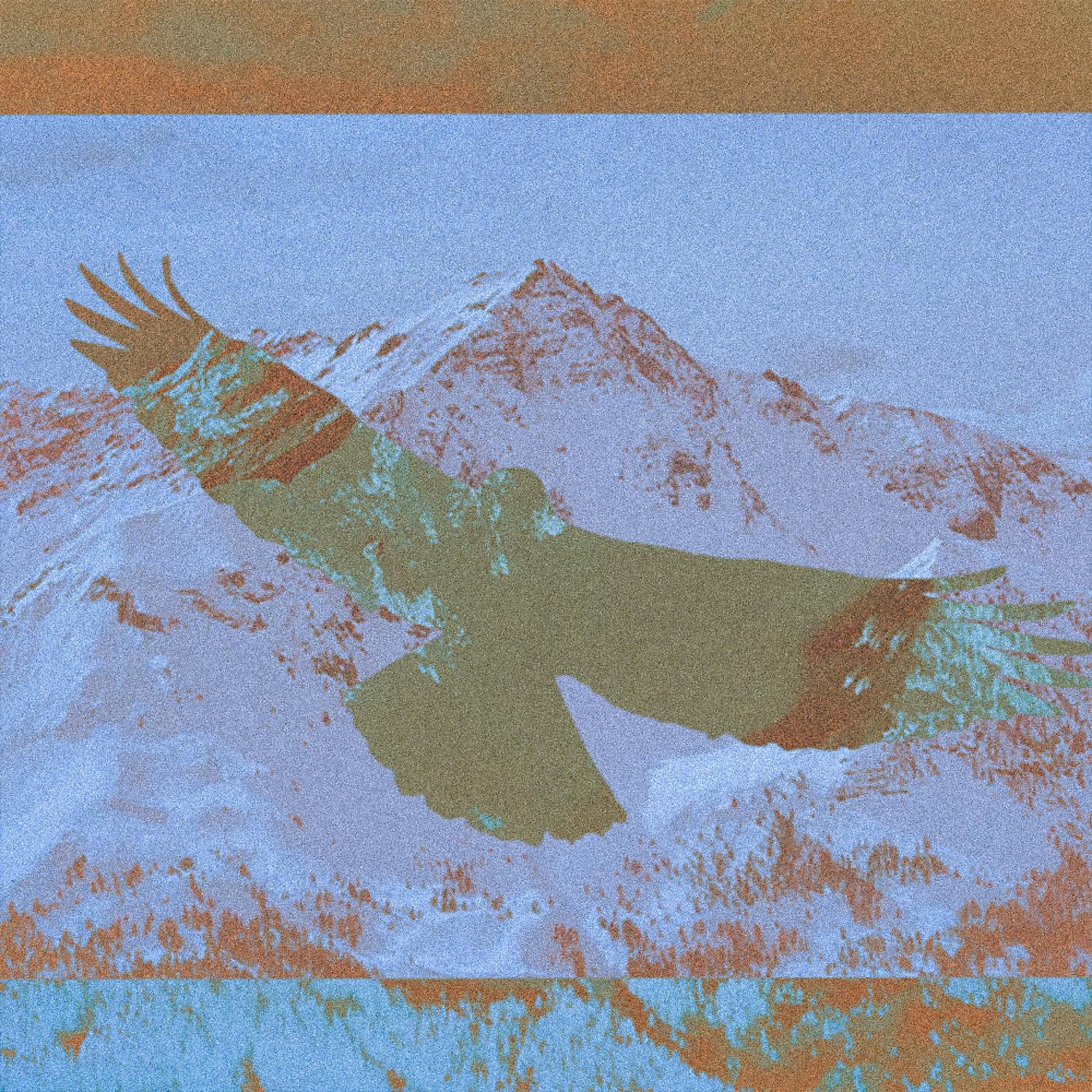 Постер альбома Bluebird Day