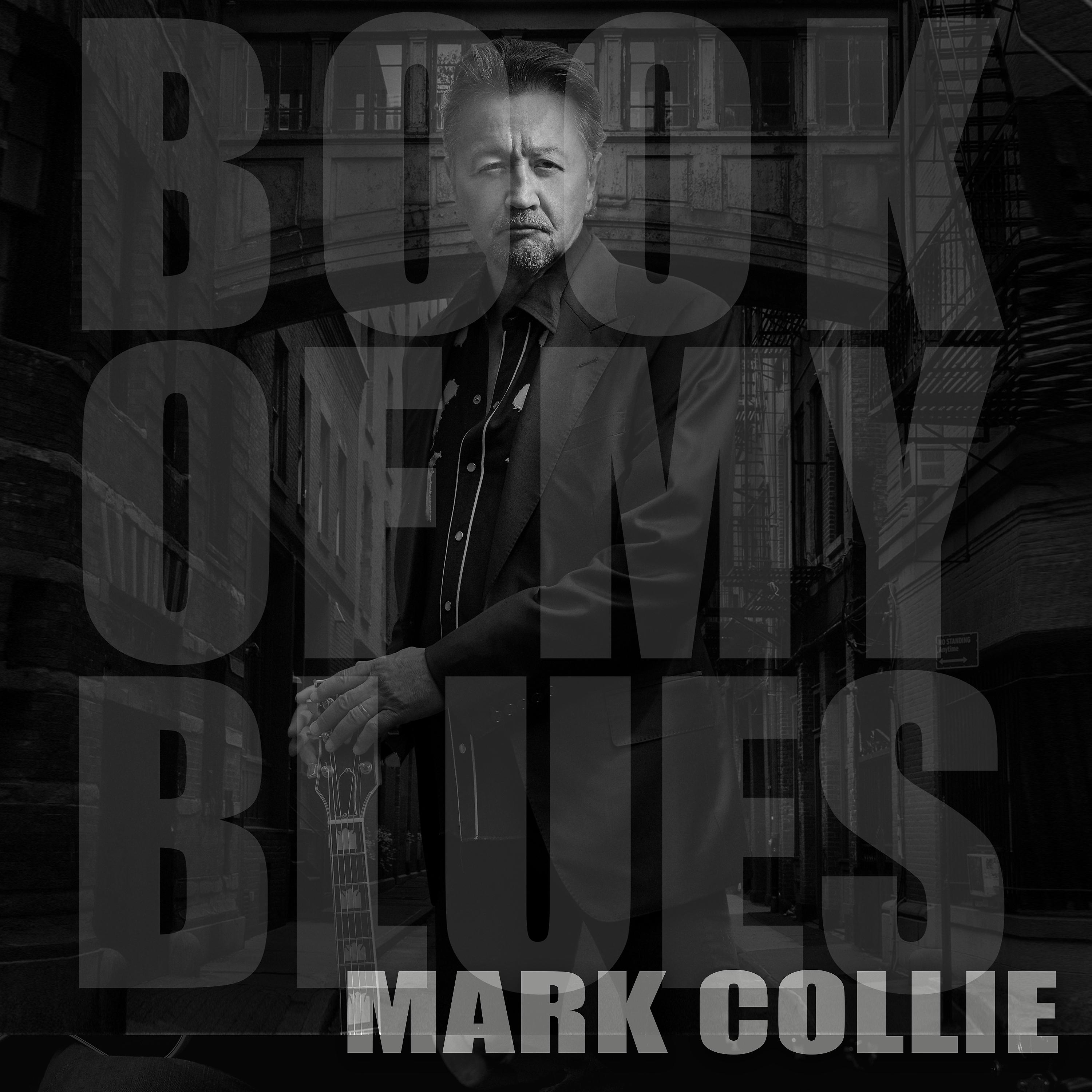 Постер альбома Book of My Blues