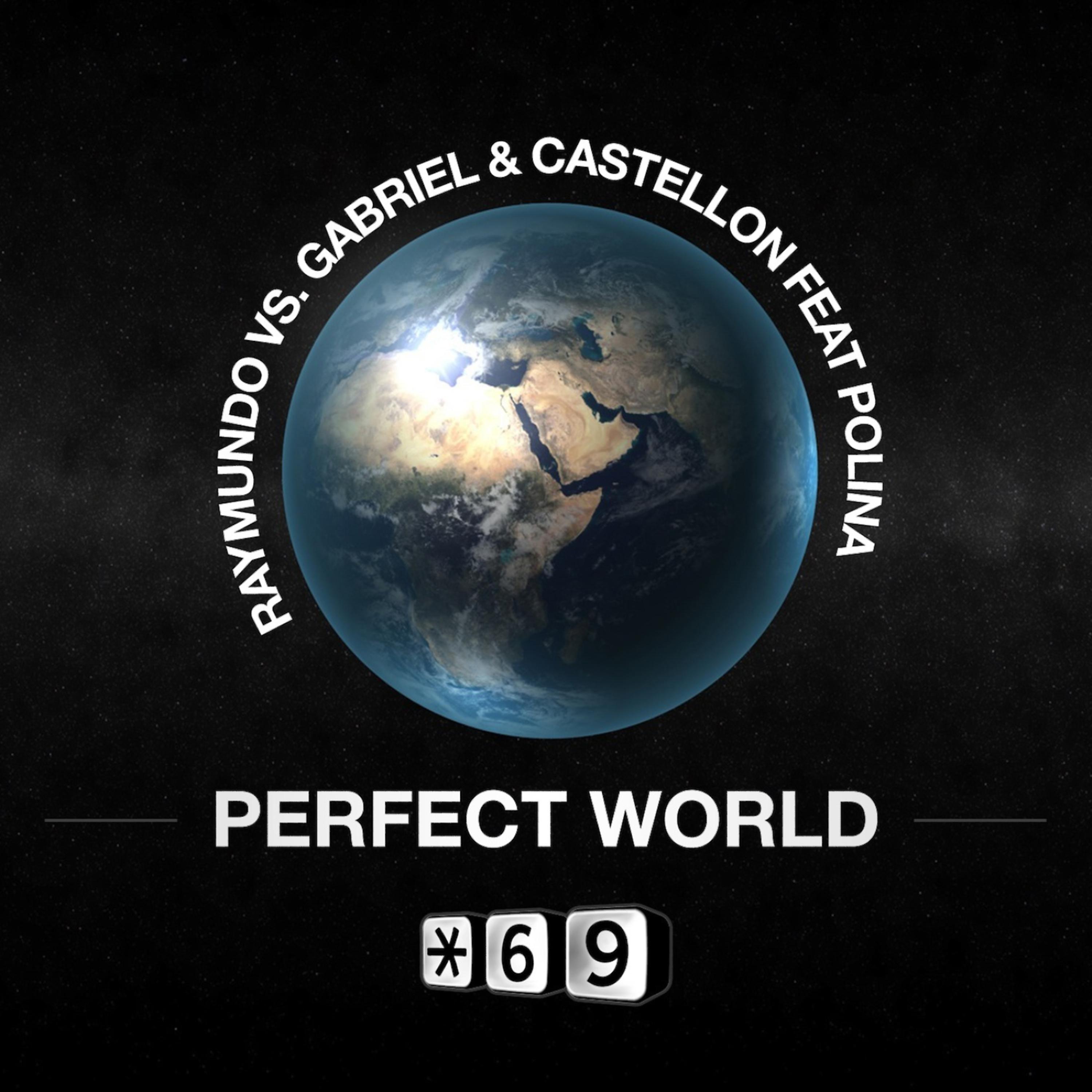 Постер альбома Perfect World