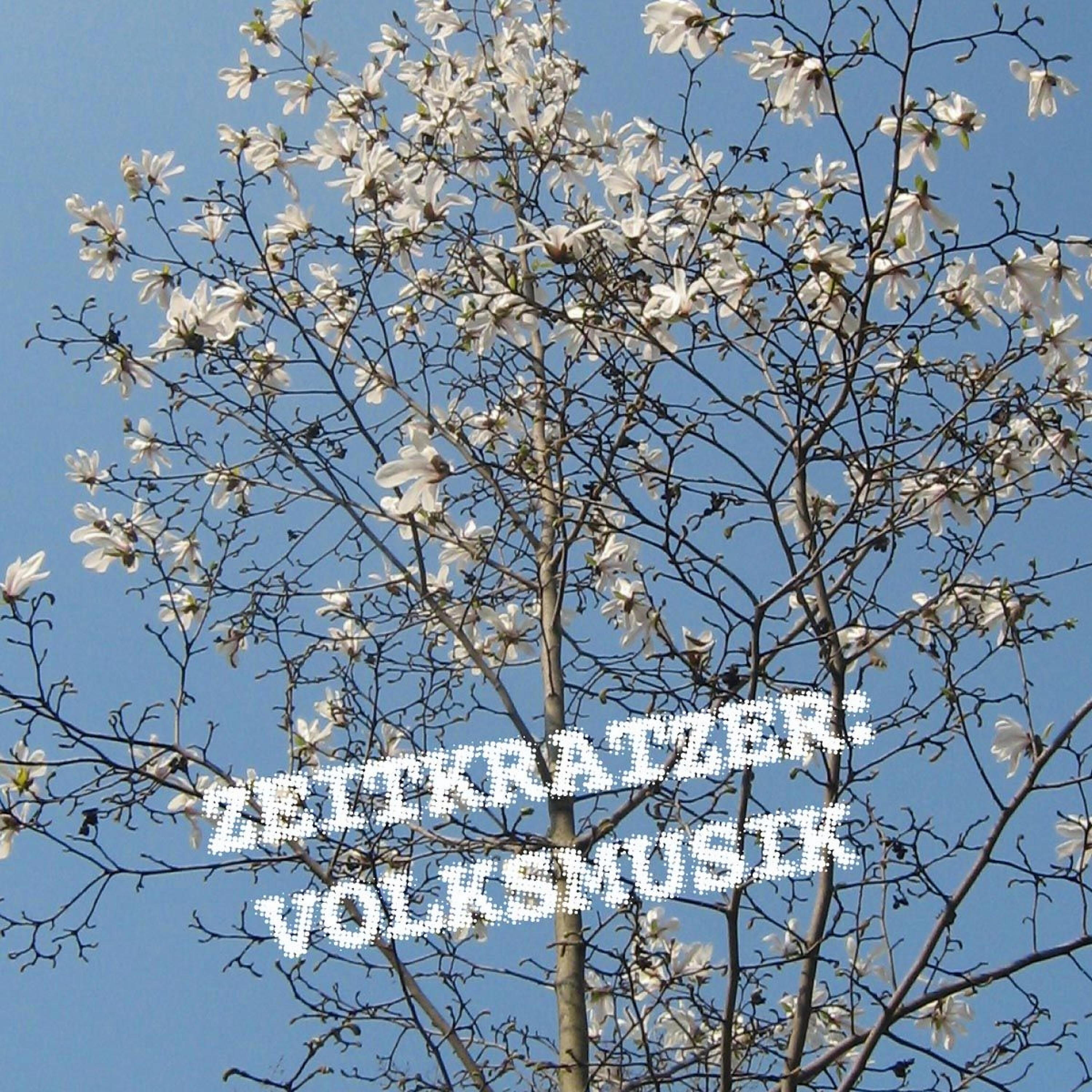 Zeitkratzer - Mountain