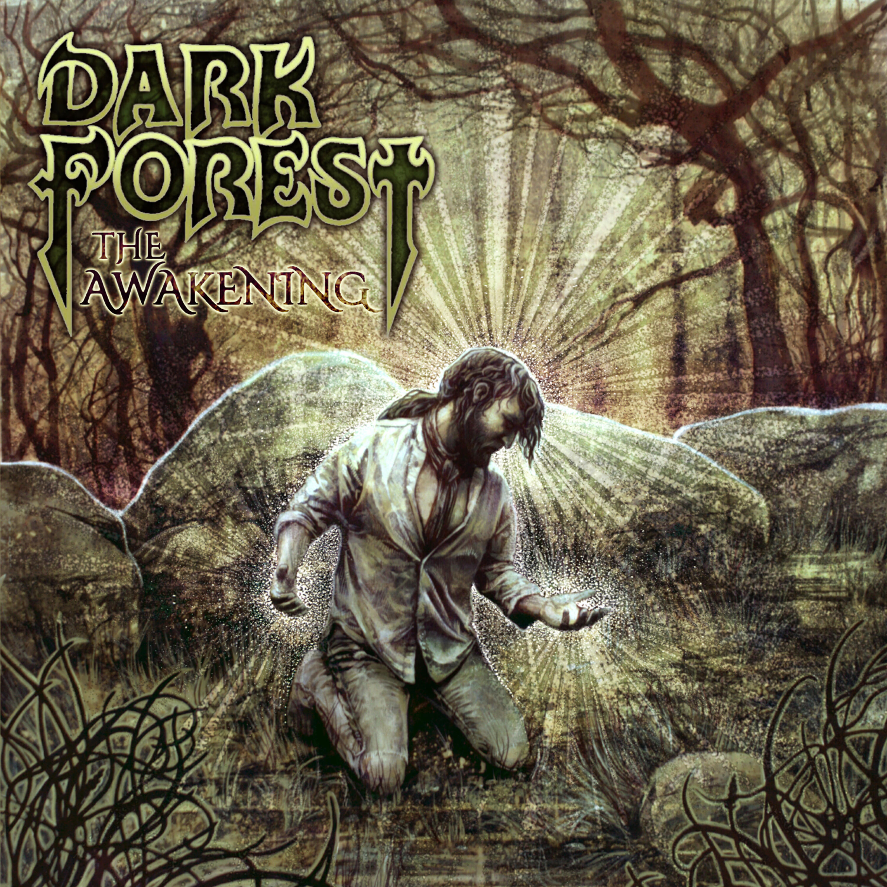 Dark Forest - The Last Season