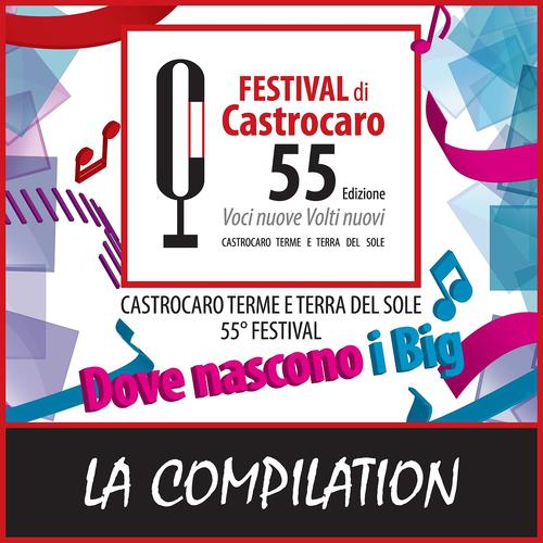 Постер альбома Castrocaro 2012 - La compilation