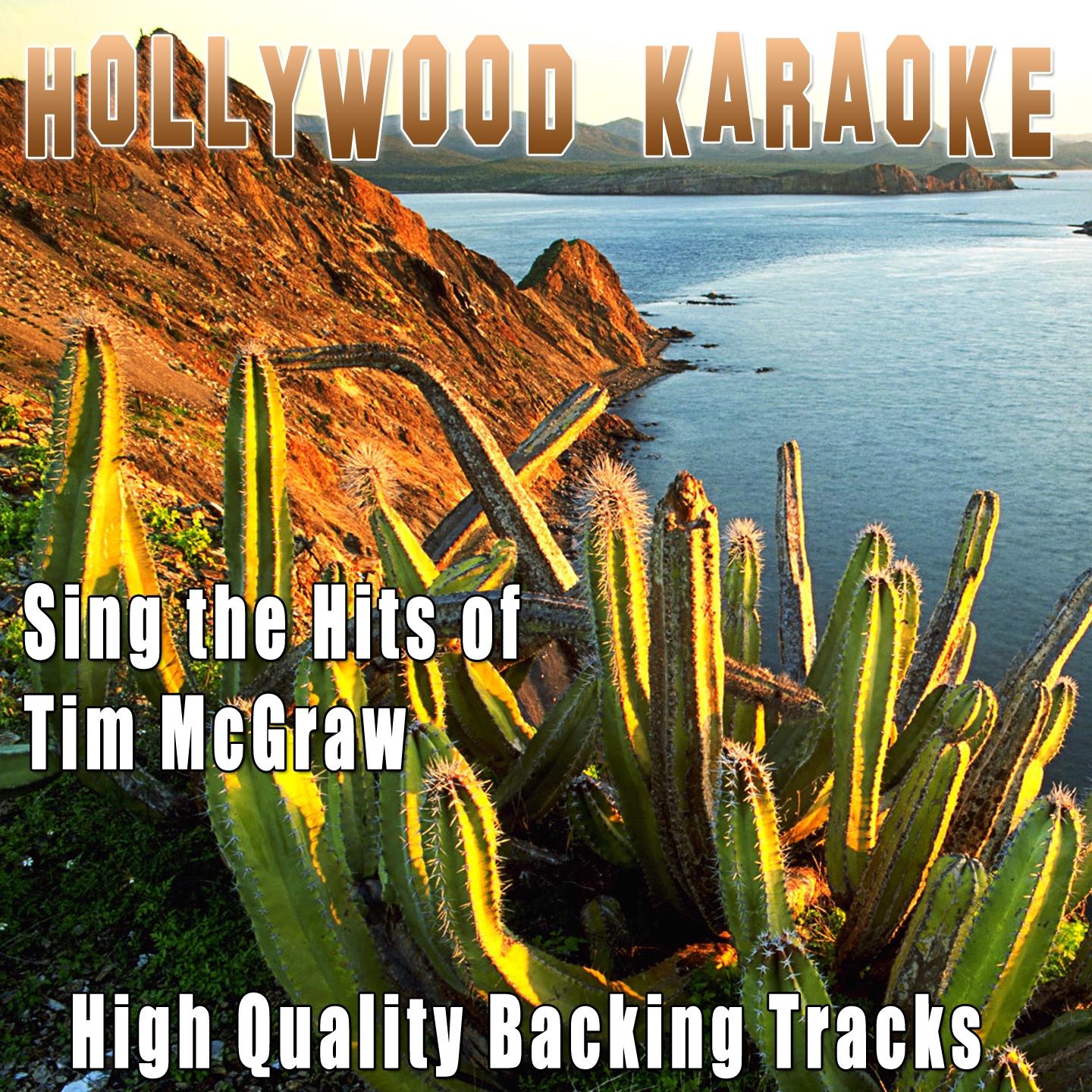 Hollywood Karaoke - Tiny Dancer (Karaoke Version) (Originally Performed By Tim McGraw)