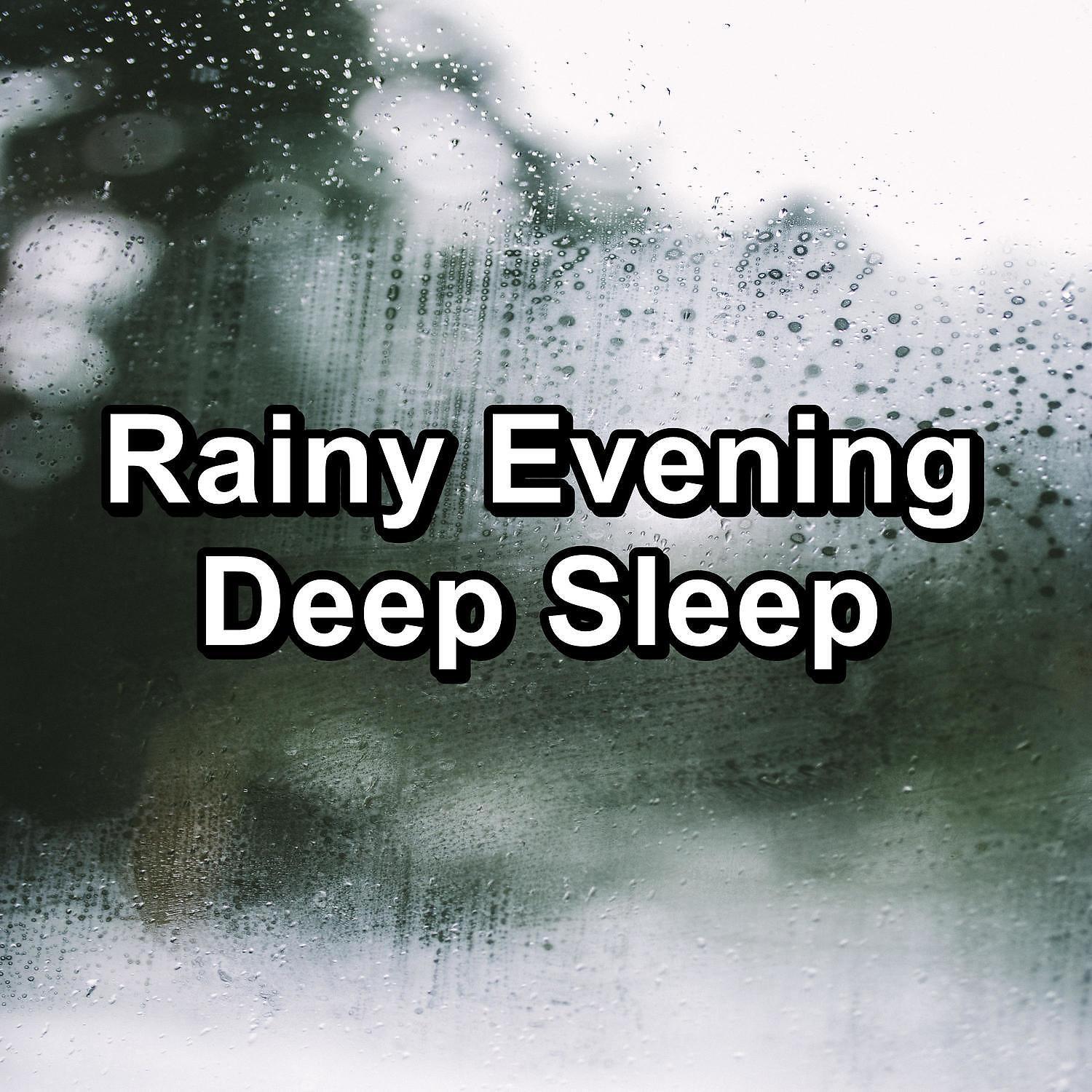 Deep Sleep Music Experience - Forest Rain with Thunder and White Noise To Sleep with for 8 Hours
