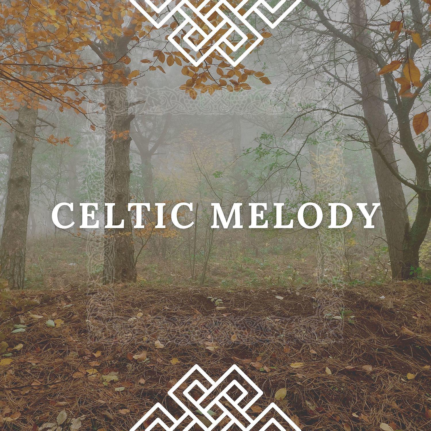Постер альбома Celtic Melody - Harp Playlist