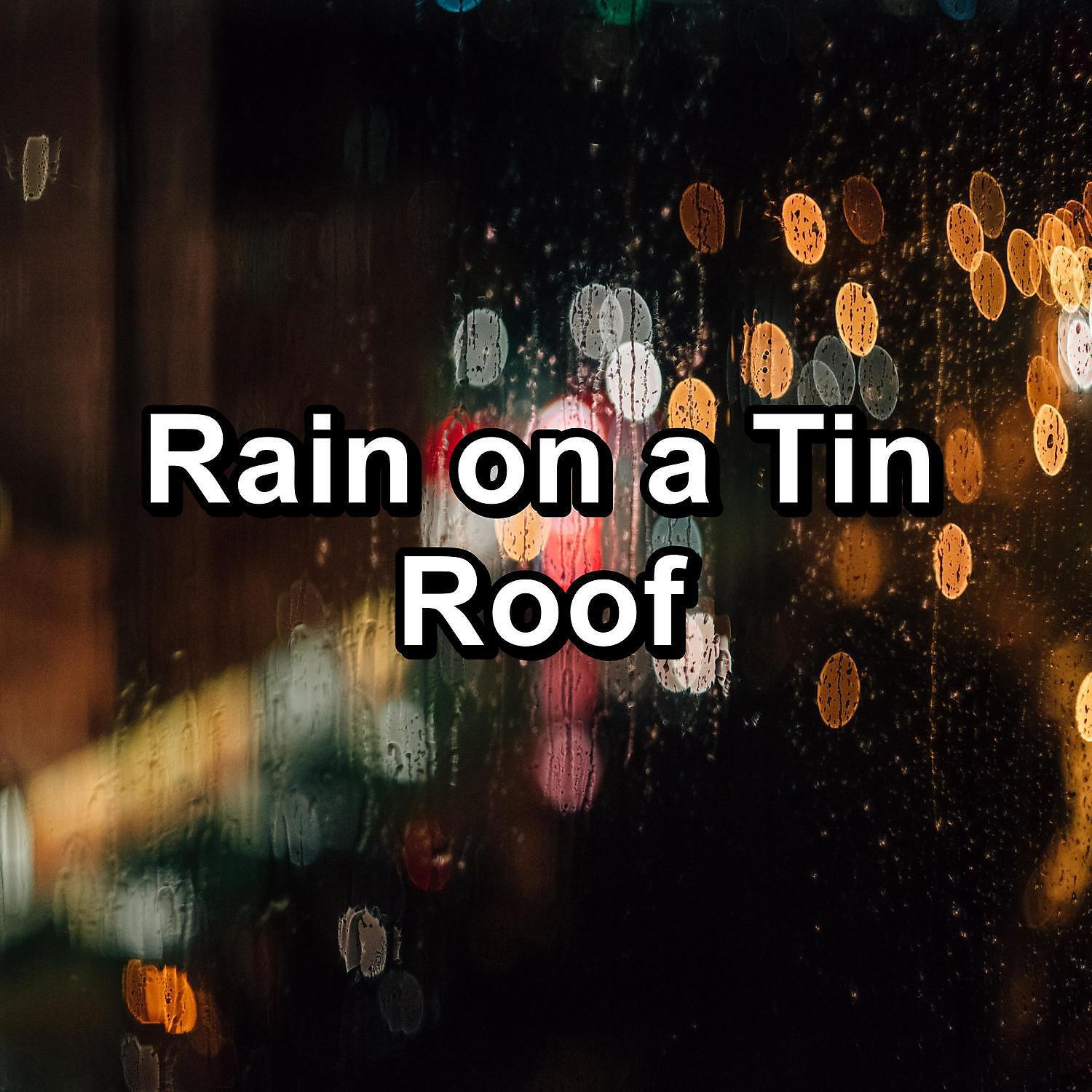 Relax - White Noise Rain in the Rainy Forest with Sleeping Music