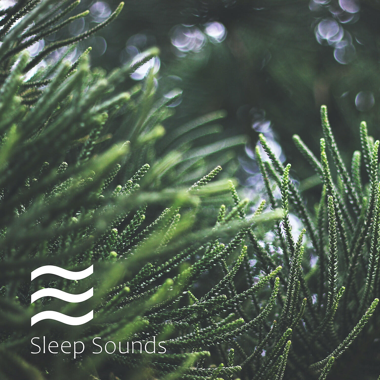 Sleepful Ambient of Soothing Rain Noises - Rainfall Soft Still Noises