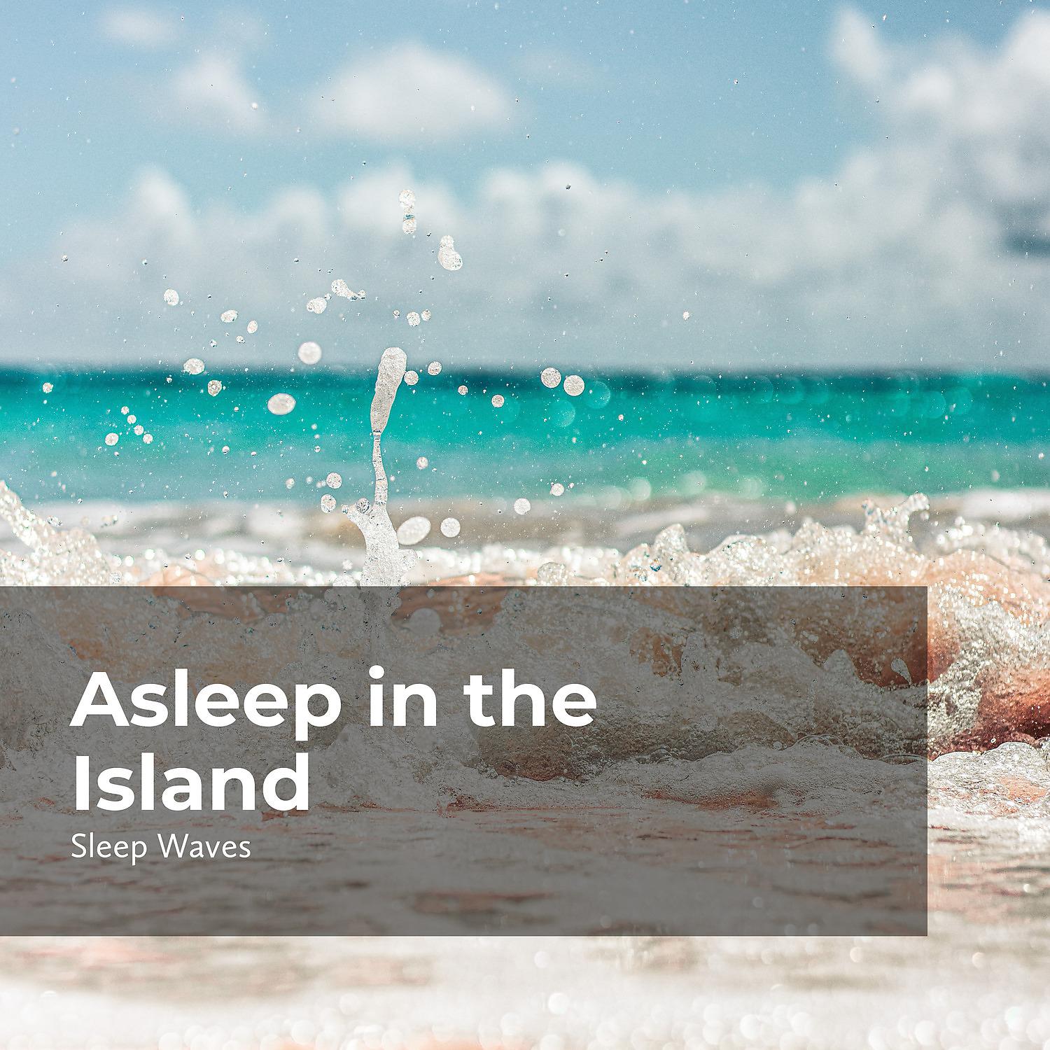 Постер альбома Asleep in the Island