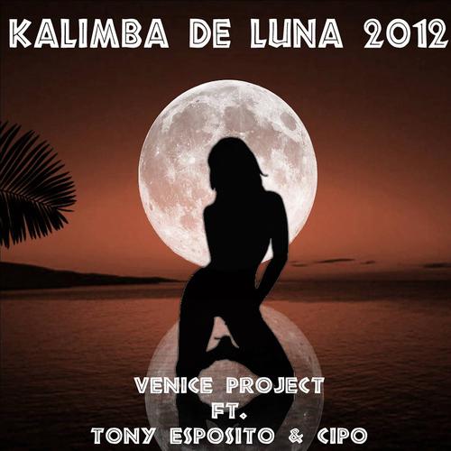 Постер альбома Kalimba de Luna 2012