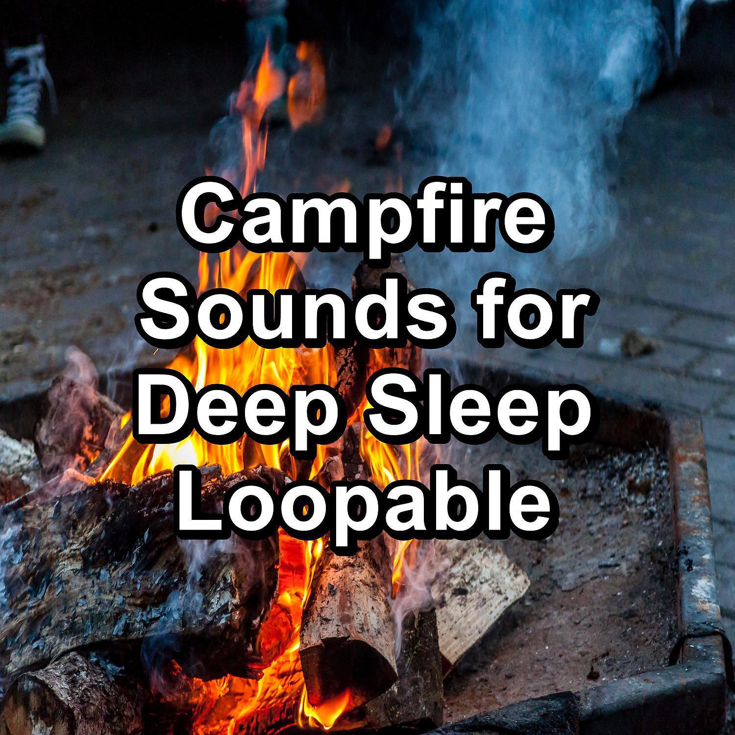 Christmas Music - Fire Place Sounds in the Forest For Infants