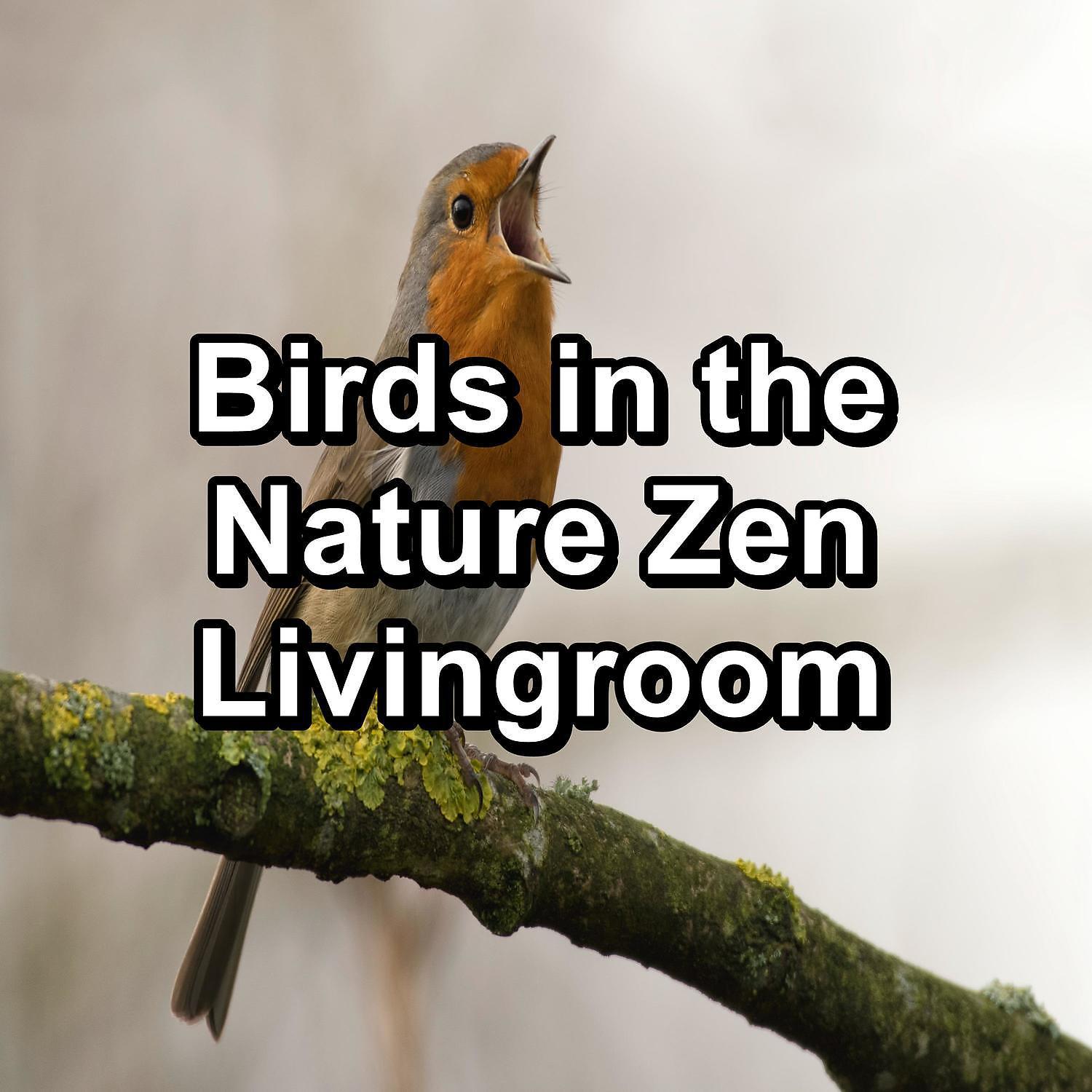 Постер альбома Birds in the Nature Zen Livingroom