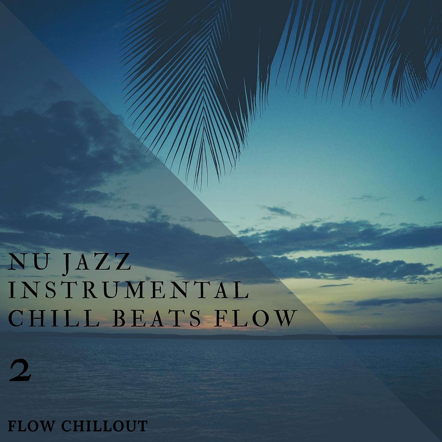 Постер альбома Nu Jazz Instrumental Chill Beats Flow 2