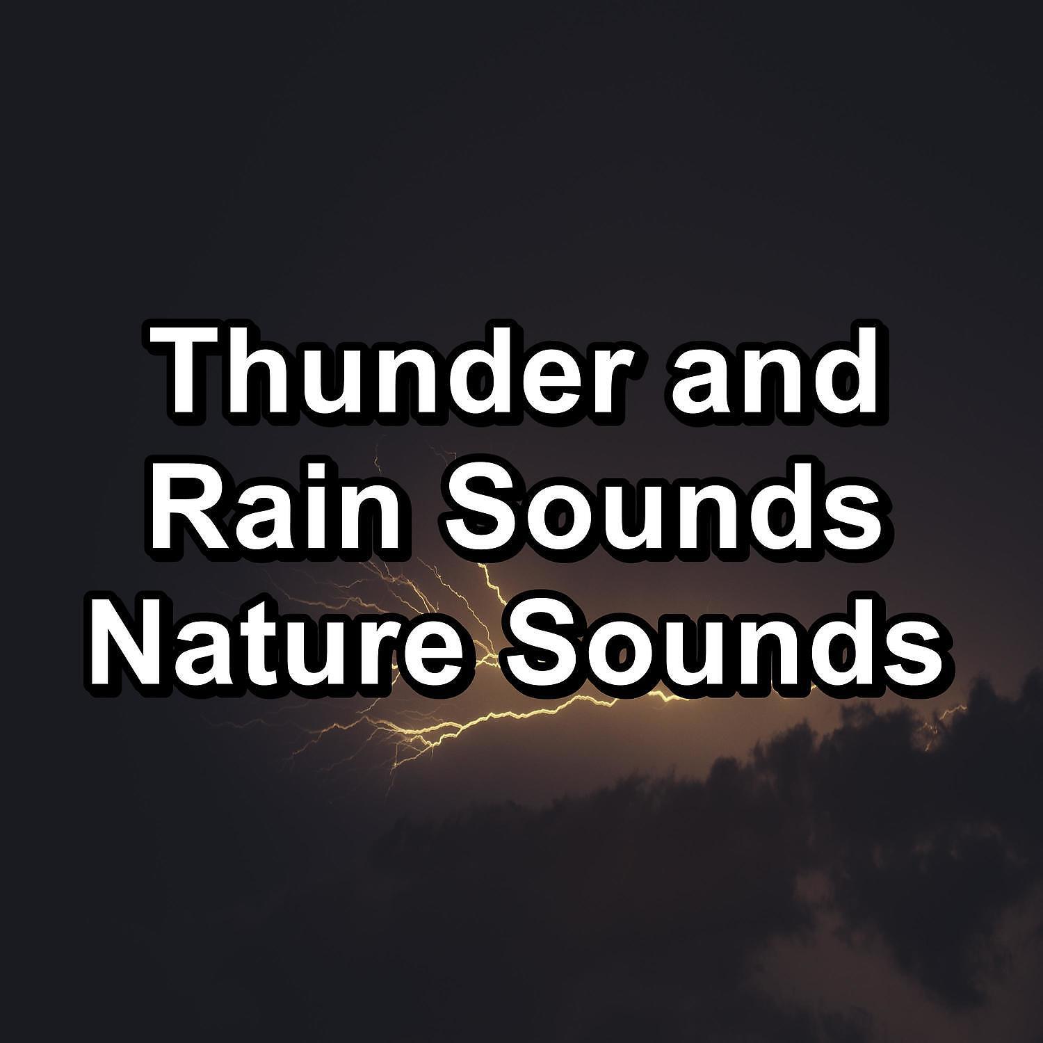 Rain Meditation - Moderate Rain For Quiet Nights To Help You Take A Nap