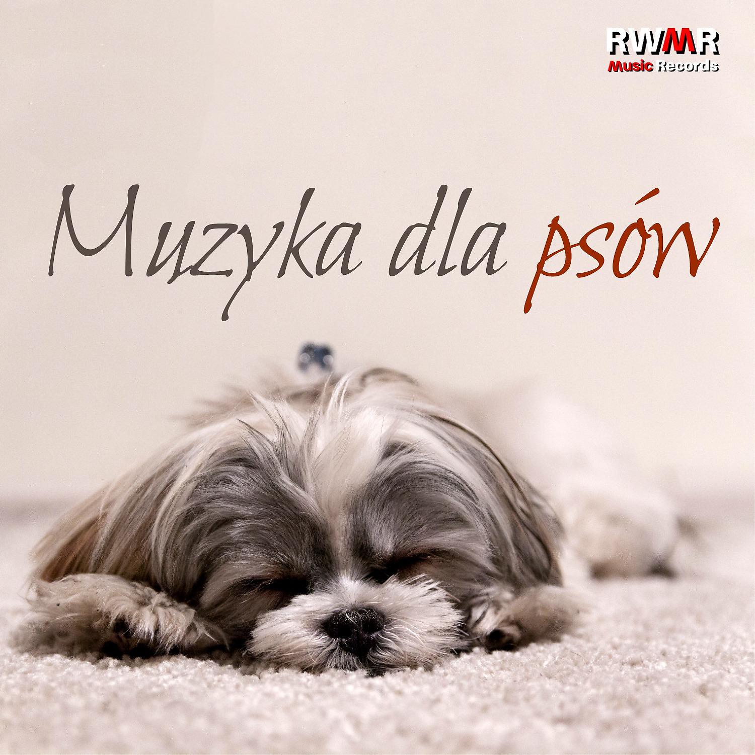Постер альбома Muzyka dla psow – Relaksacyjne piosenki dla szczeniakow, gleboka relaksacja przy pianinie, instrumentalne piosenki