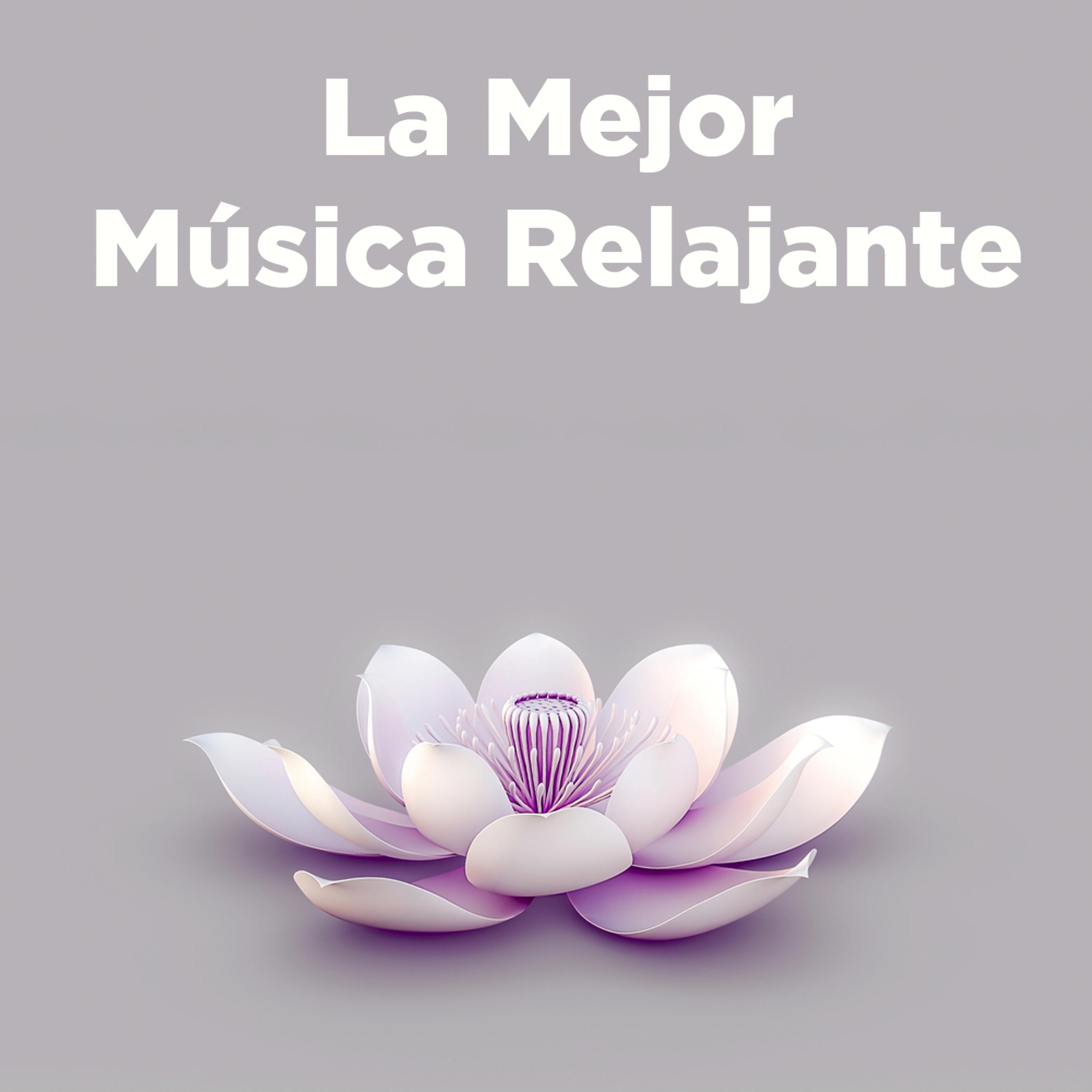 Постер альбома La Mejor Música Relajante