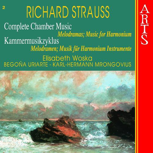 Постер альбома Strauss: Complete Chamber Music, Vol. 2