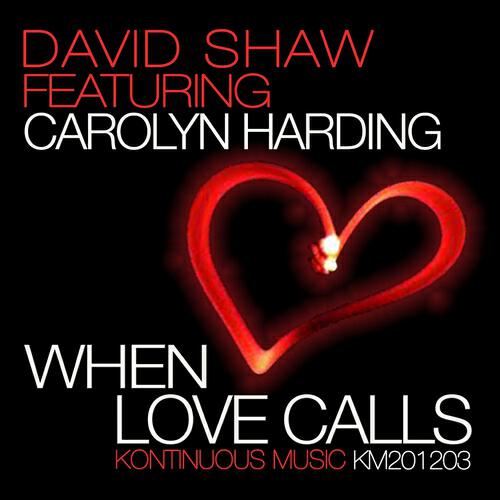 David Shaw - When Love Calls (T's Groove)