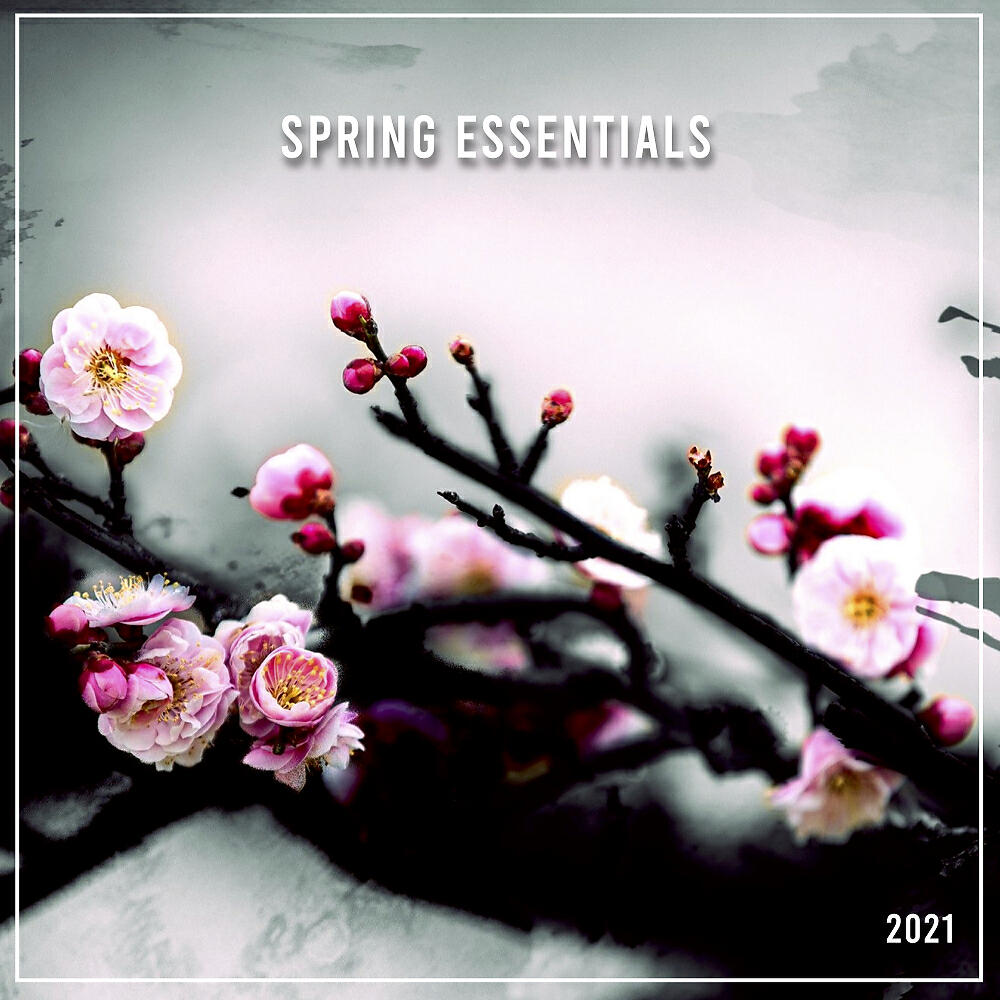 Geo Da Silva - Saxo Killer (Extended Mix)