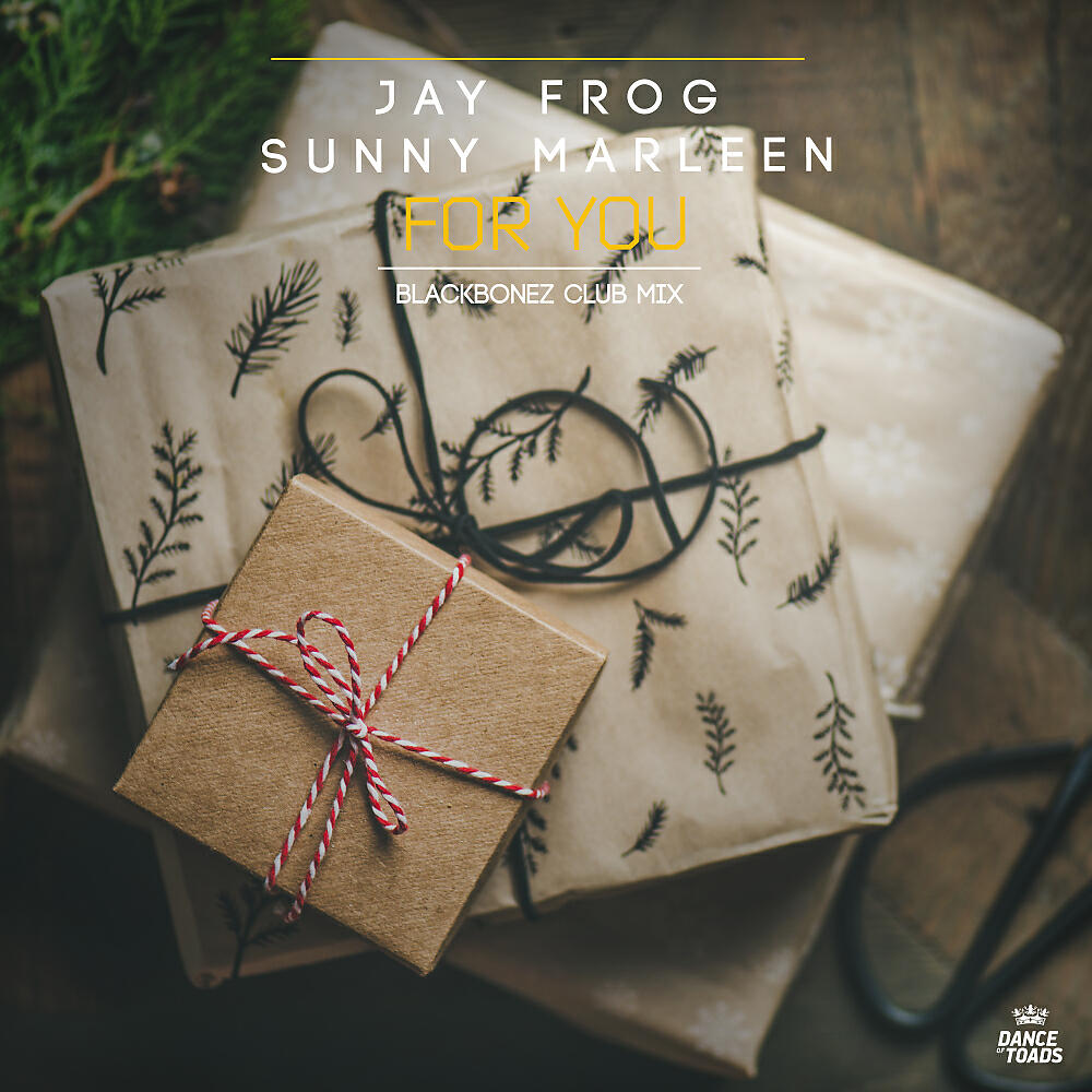 Jay Frog - For You (BlackBonez Extended Remix)