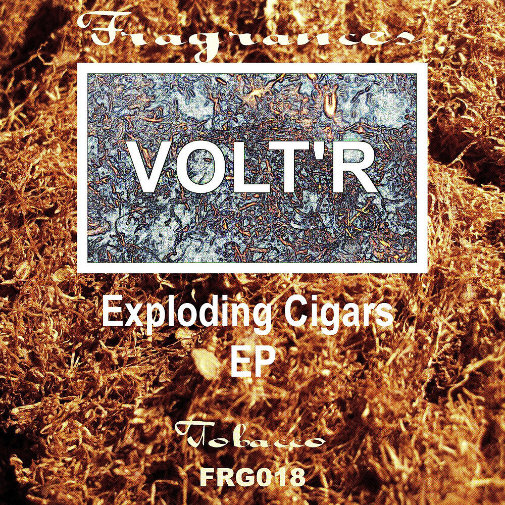 Volt'R - Le Temps Des Taons (Original Mix)