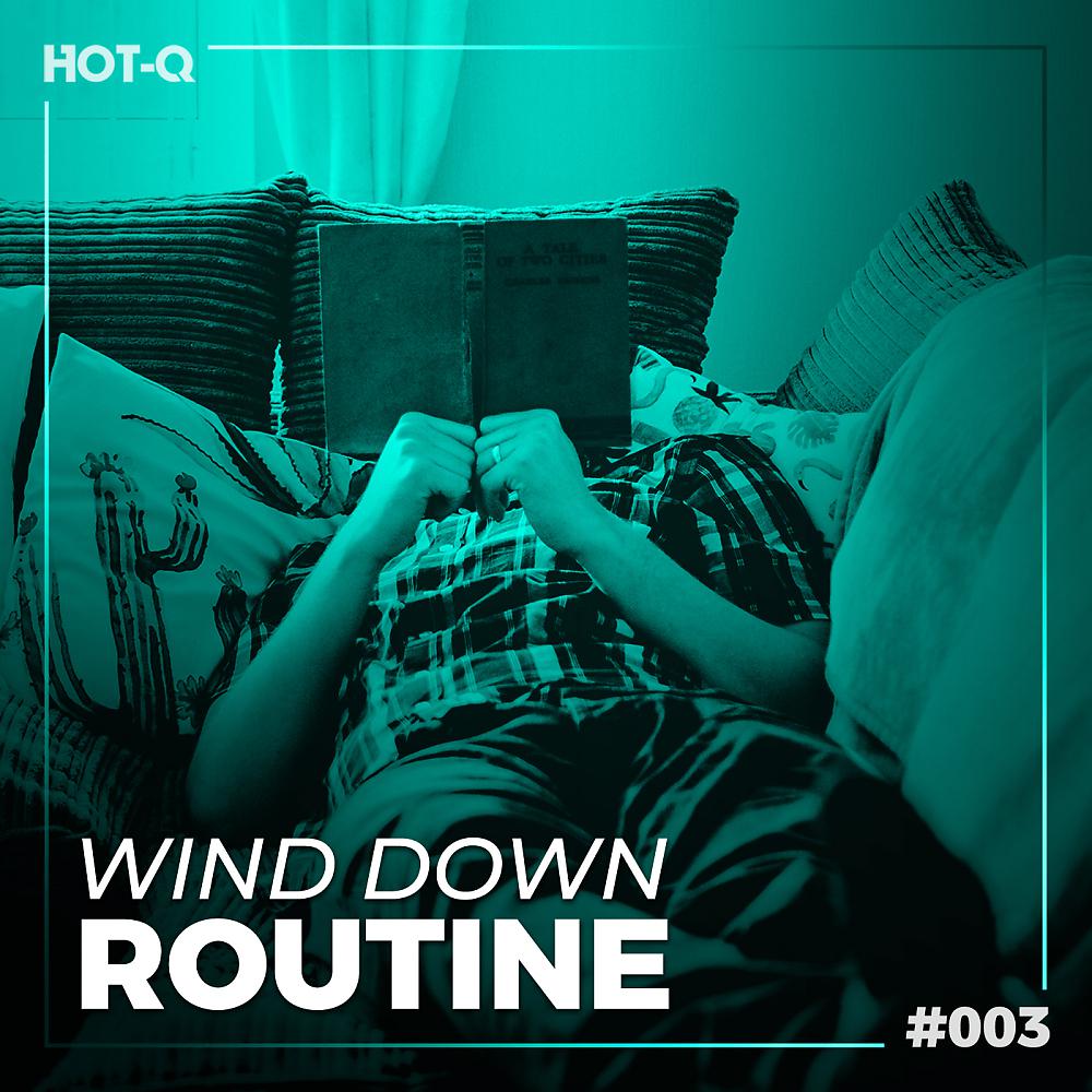 Постер альбома Wind Down Routine 003